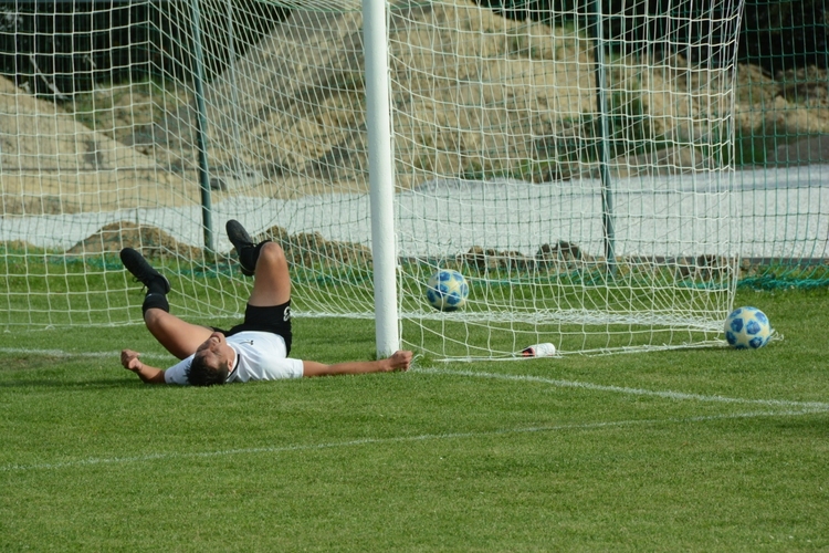 dsc 9552a | WebJET CMS