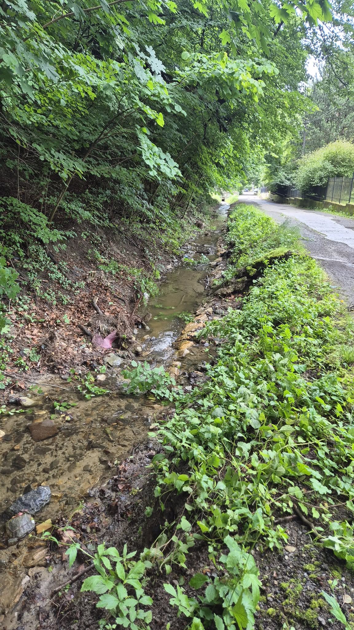 511195628 1036346338648741 2335820275866724803 n | WebJET CMS