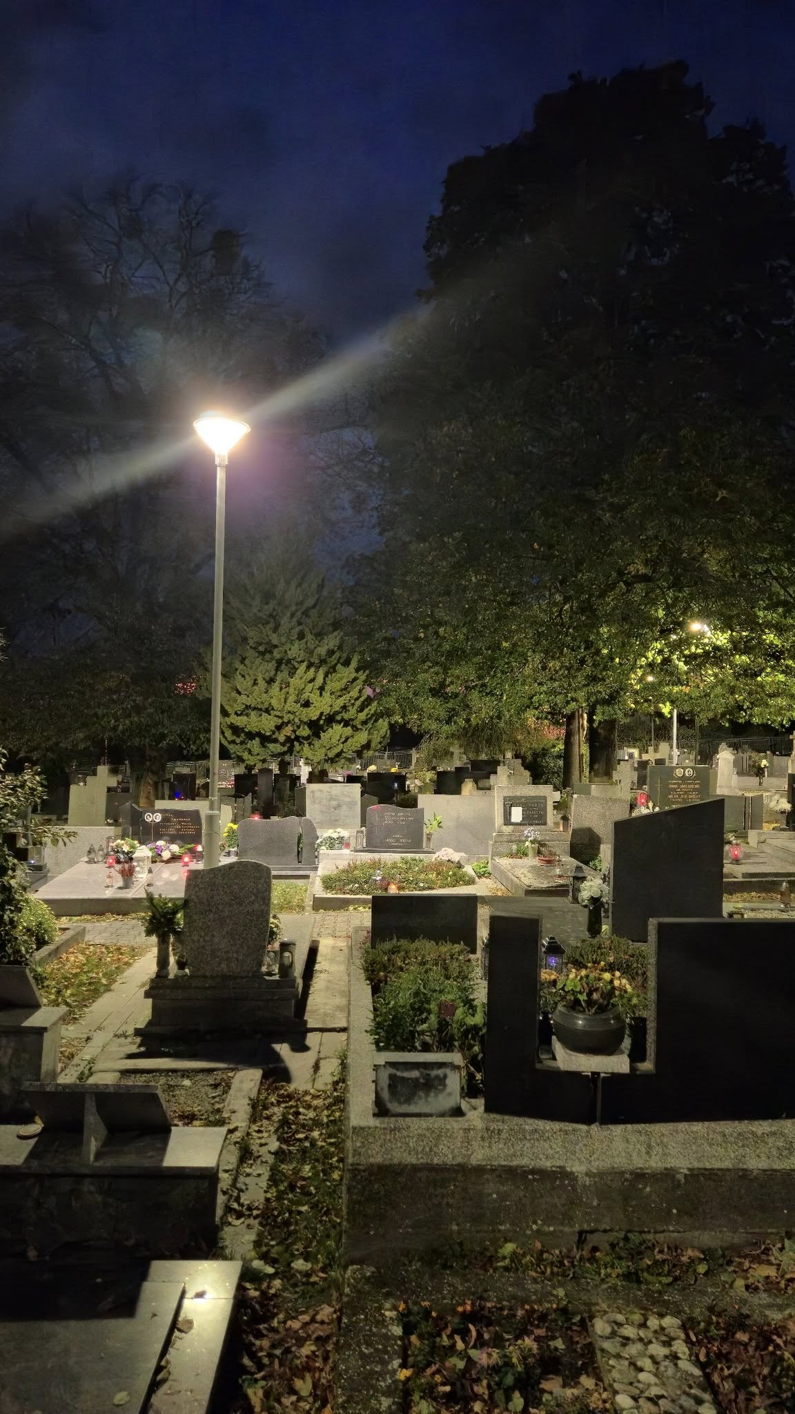 569595578 1134709185479122 2013115220467778054 n | WebJET CMS