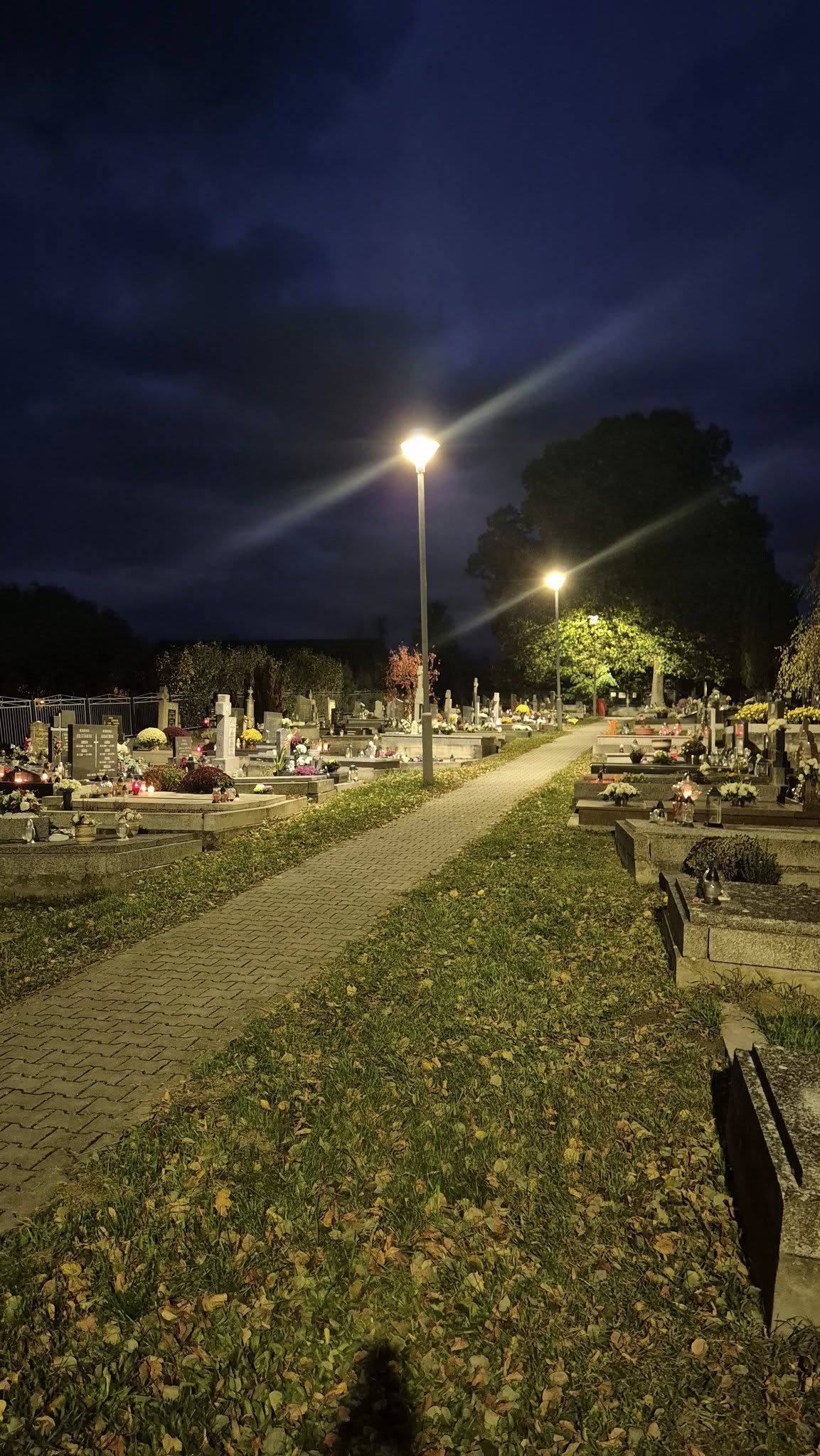 571319872 1134709228812451 660492724535534106 n | WebJET CMS