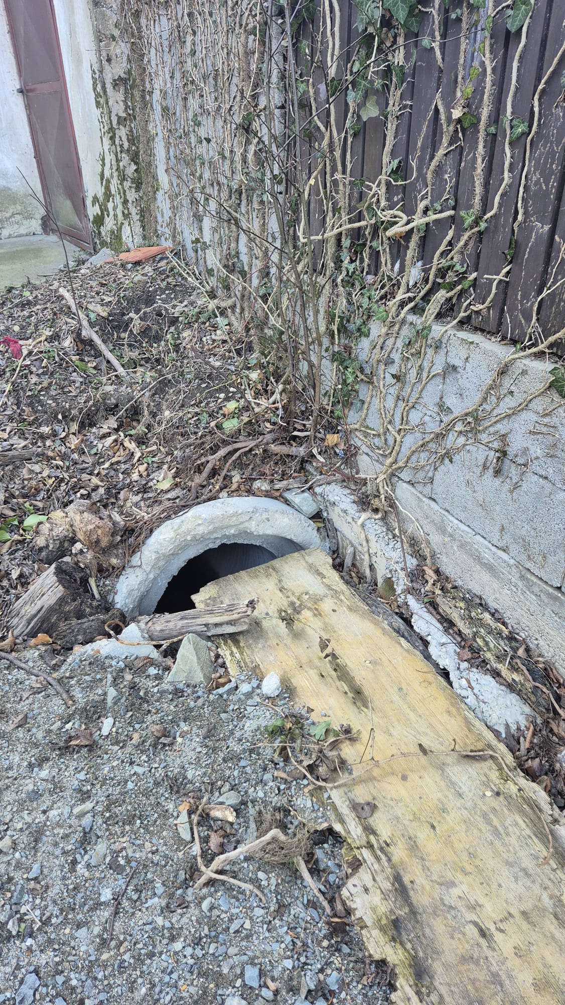 597421028 1169224795360894 3949323343466684712 n | WebJET CMS