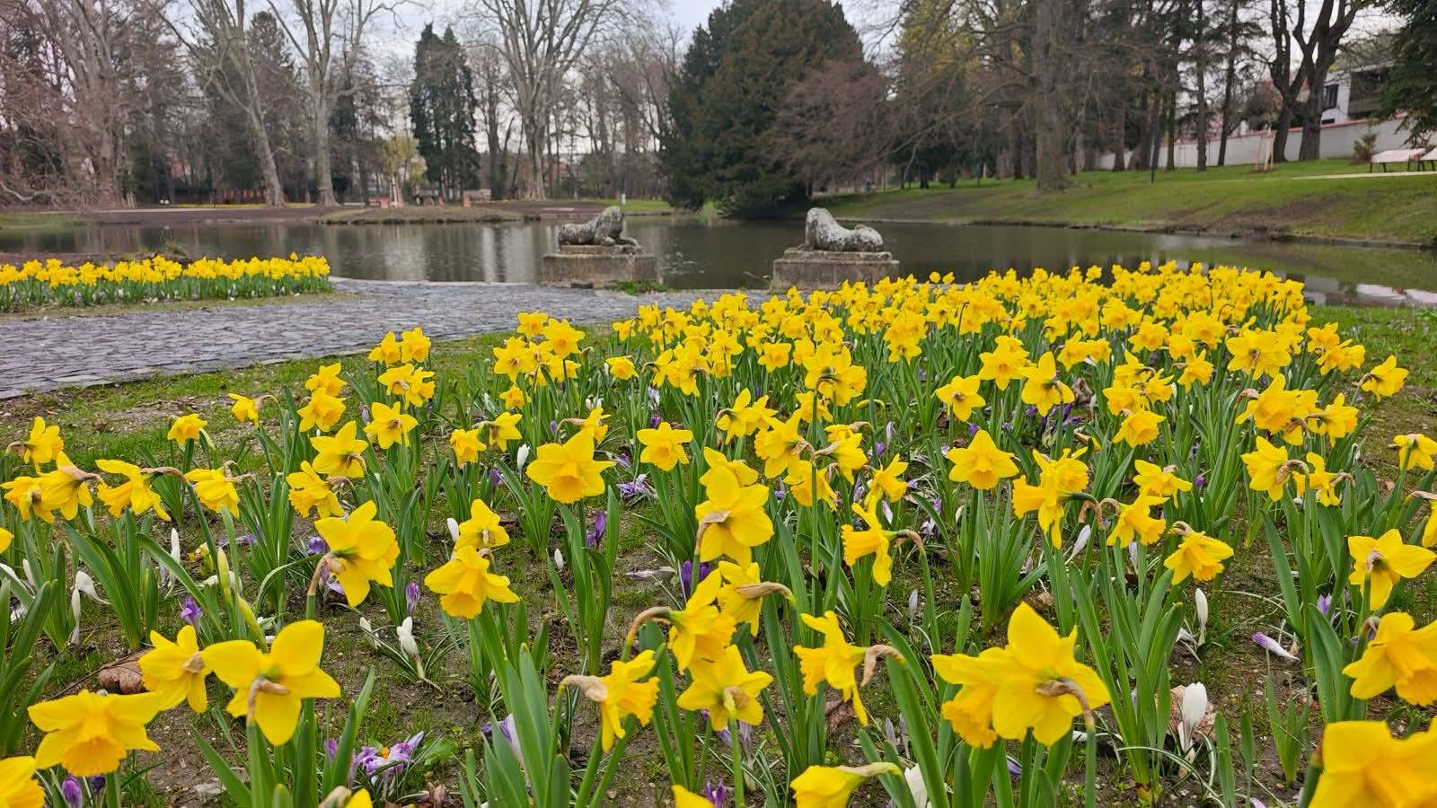 667383566 1261638009452905 3560609623555985688 n | WebJET CMS