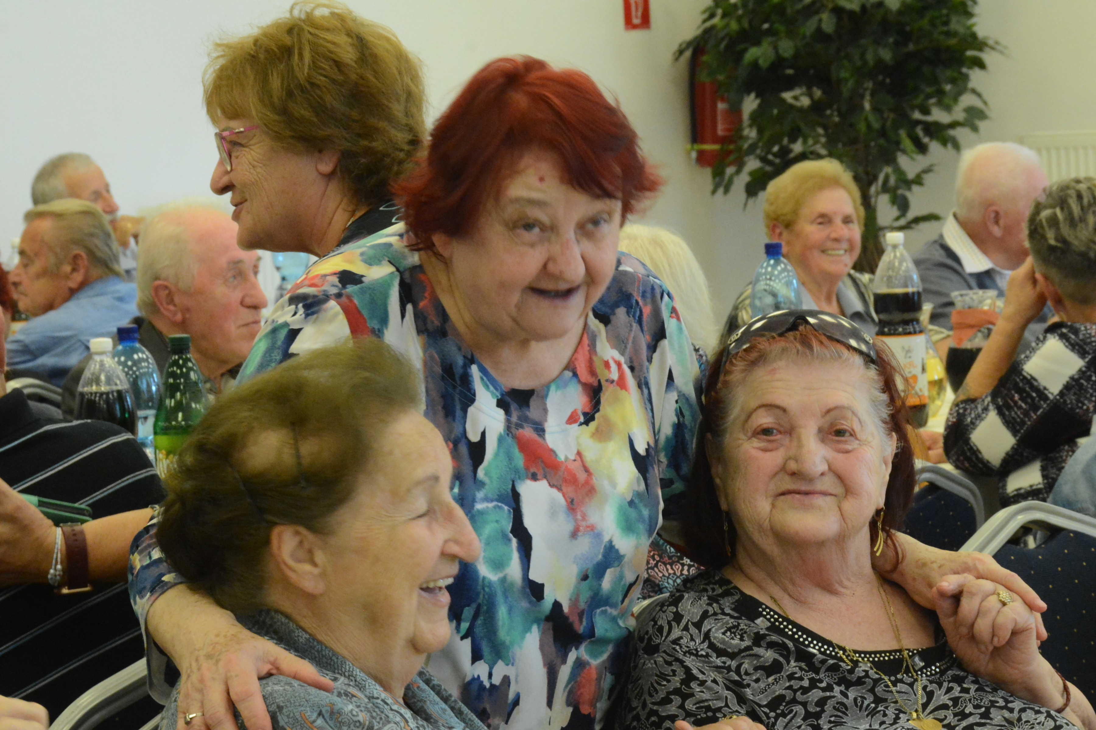 dsc 0912 | WebJET CMS