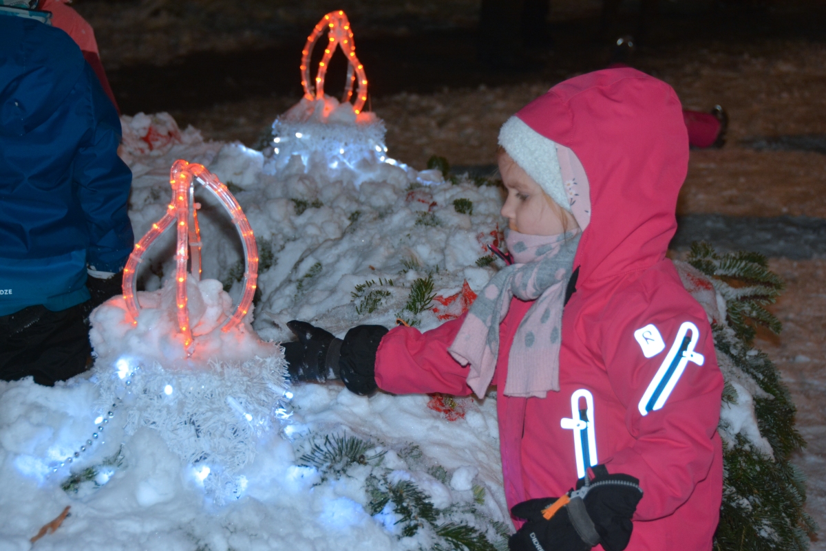 dsc 1584a | WebJET CMS