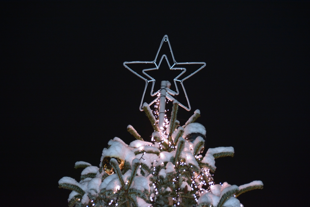 dsc 1589a | WebJET CMS