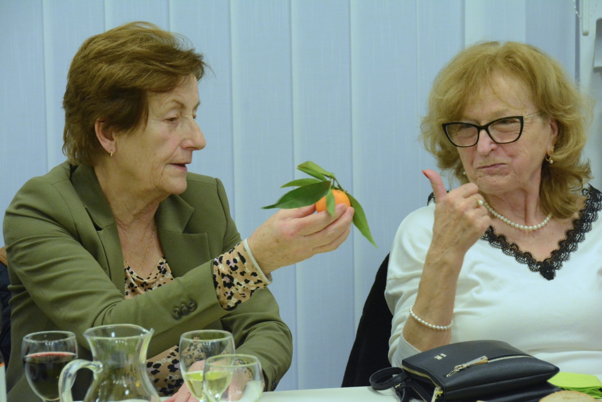 dsc 1895a | WebJET CMS