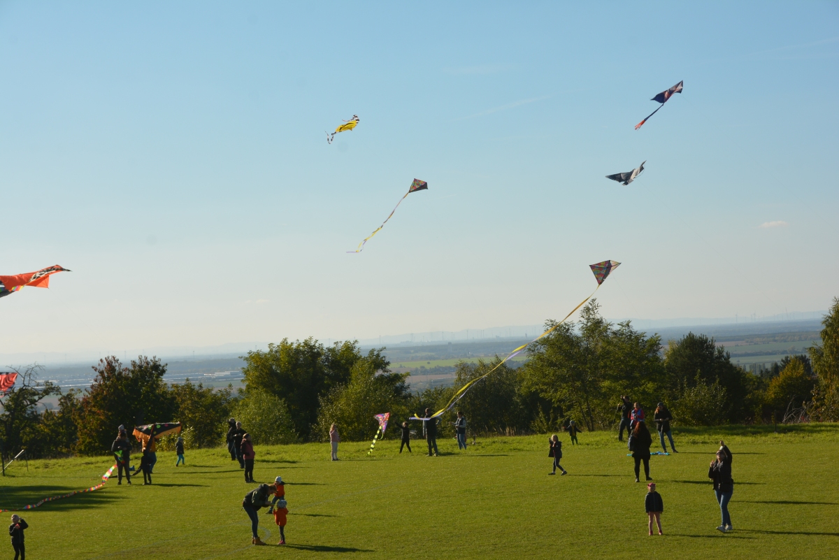 dsc 2160a | WebJET CMS