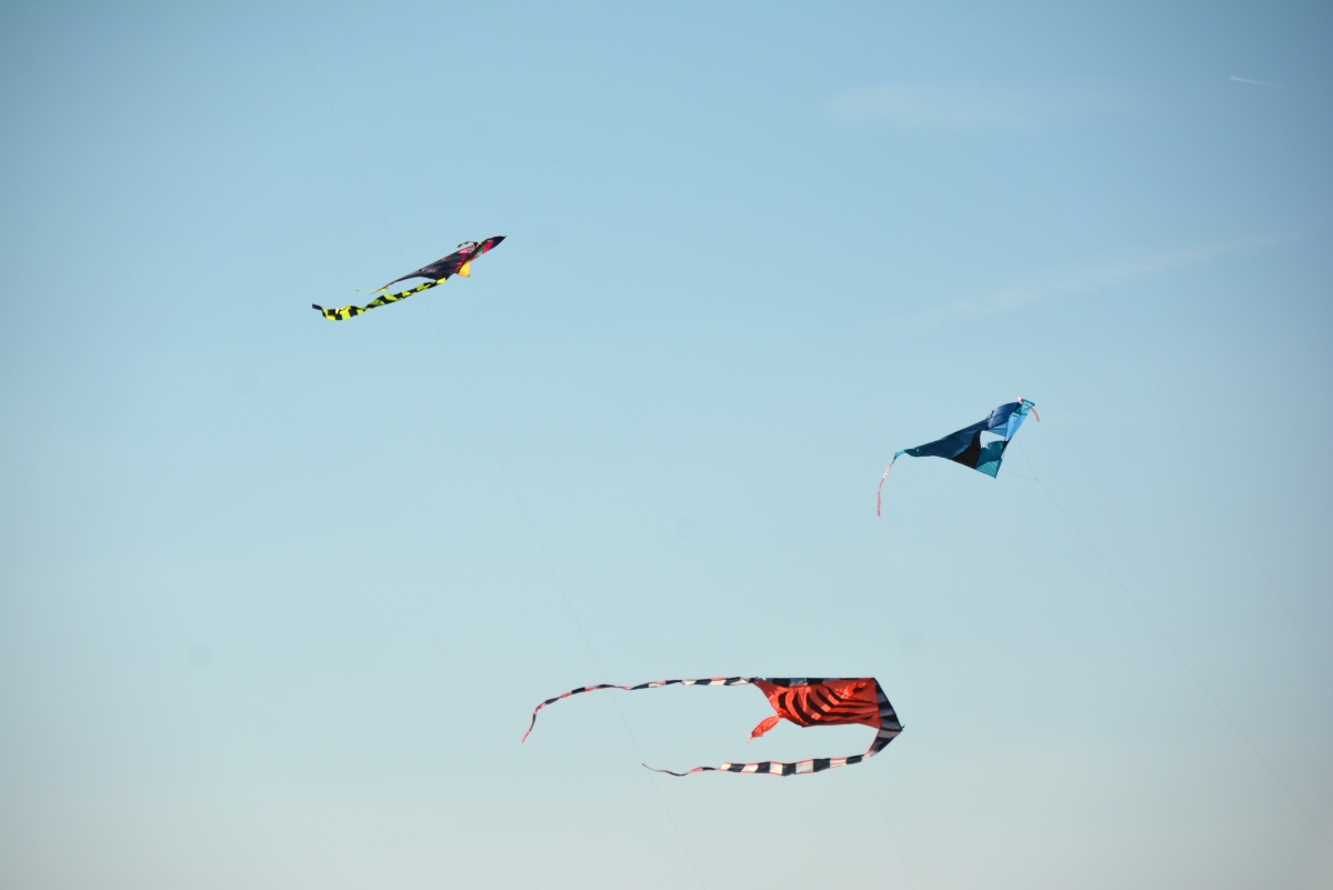 dsc 2164a | WebJET CMS