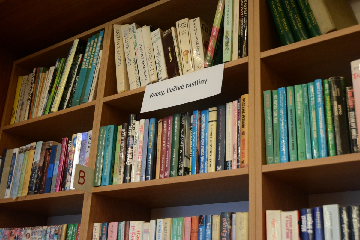 dsc 5281a | WebJET CMS