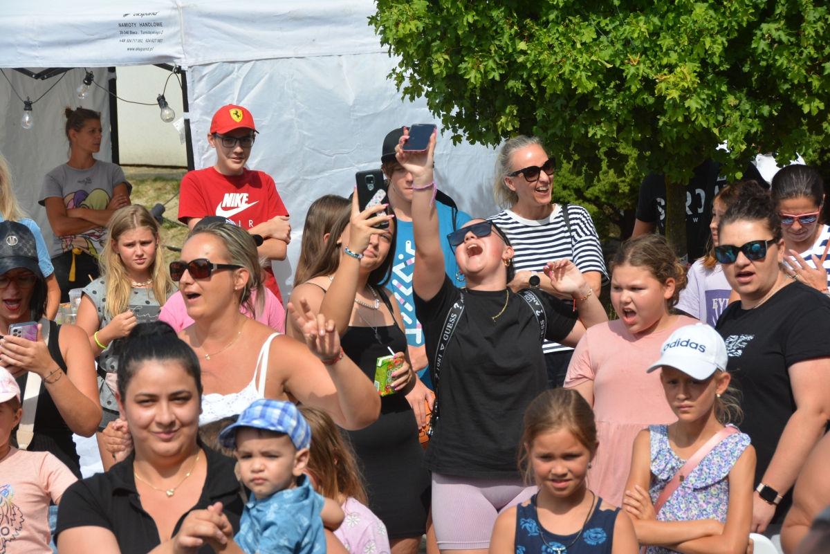 dsc 9012a | WebJET CMS