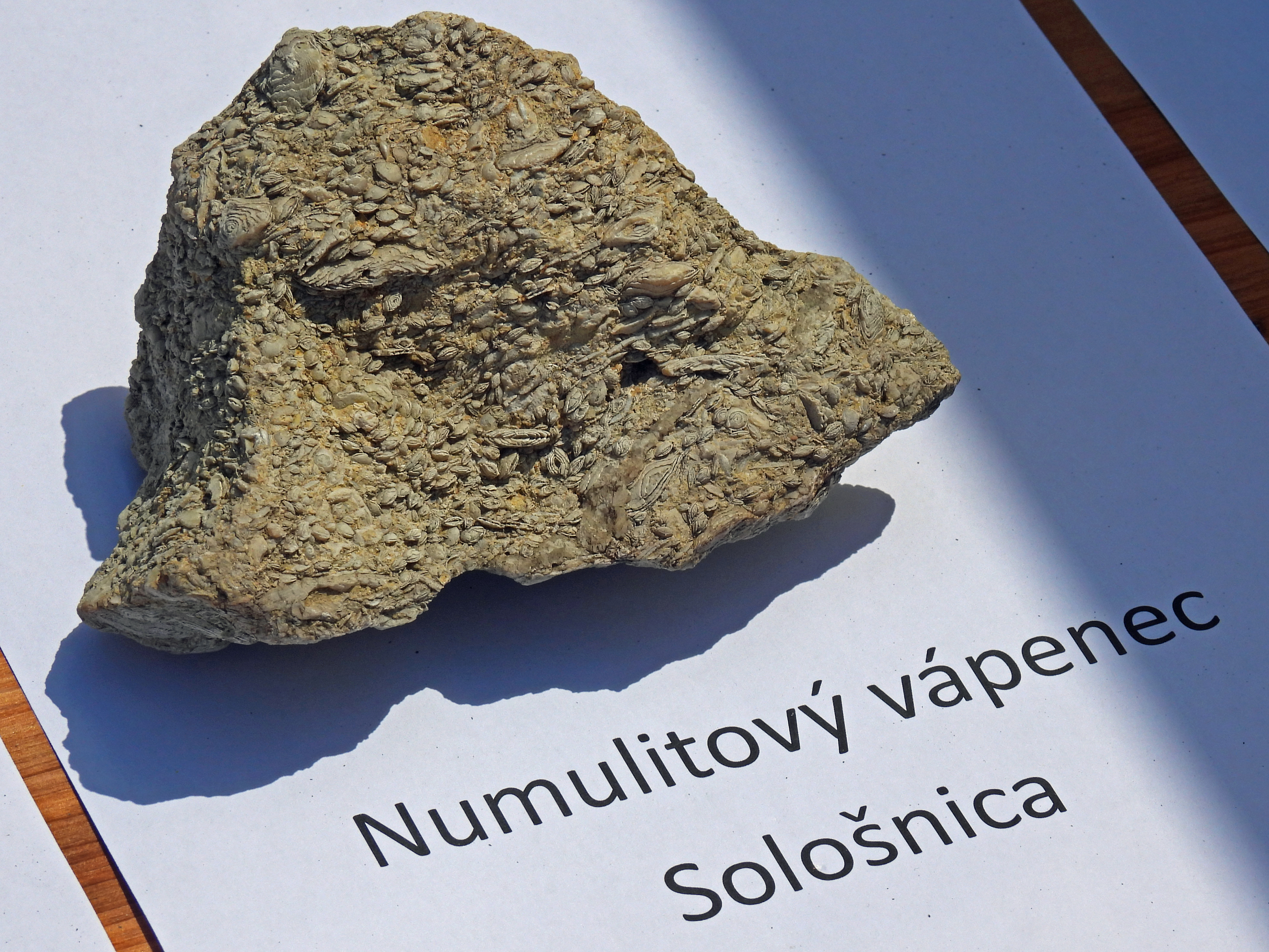 dscn5391 | WebJET CMS