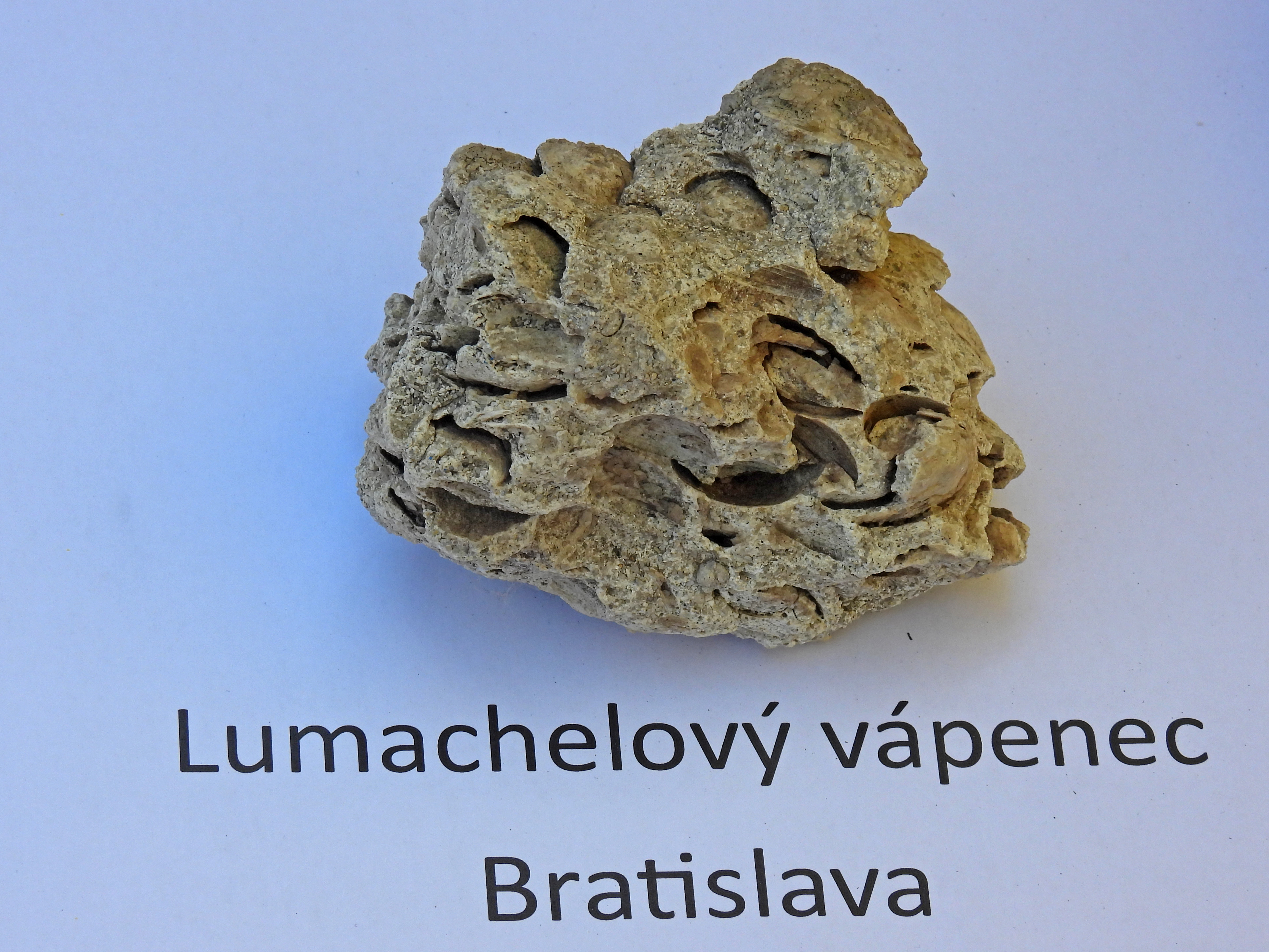 dscn5393 | WebJET CMS