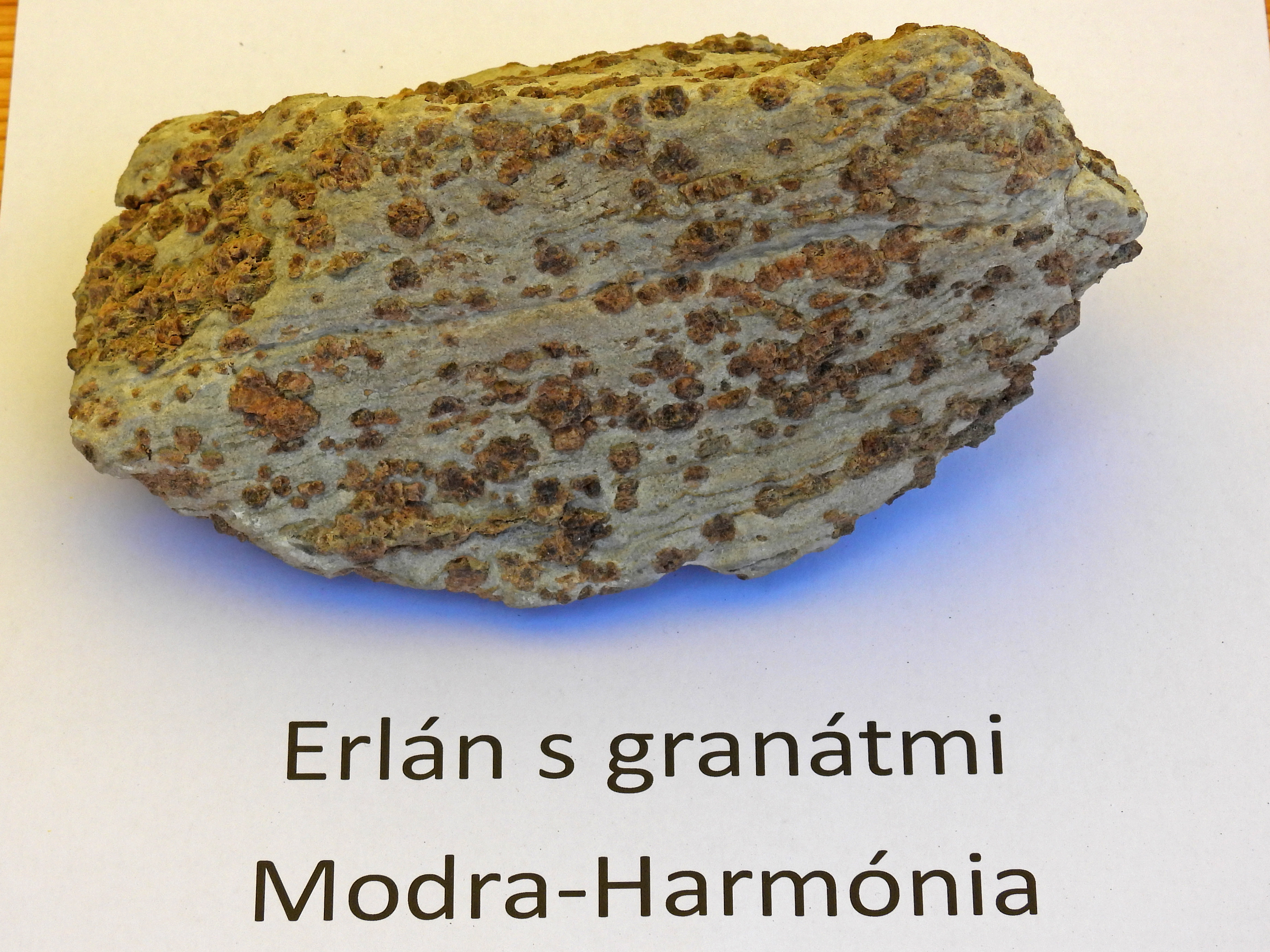 dscn5394 | WebJET CMS