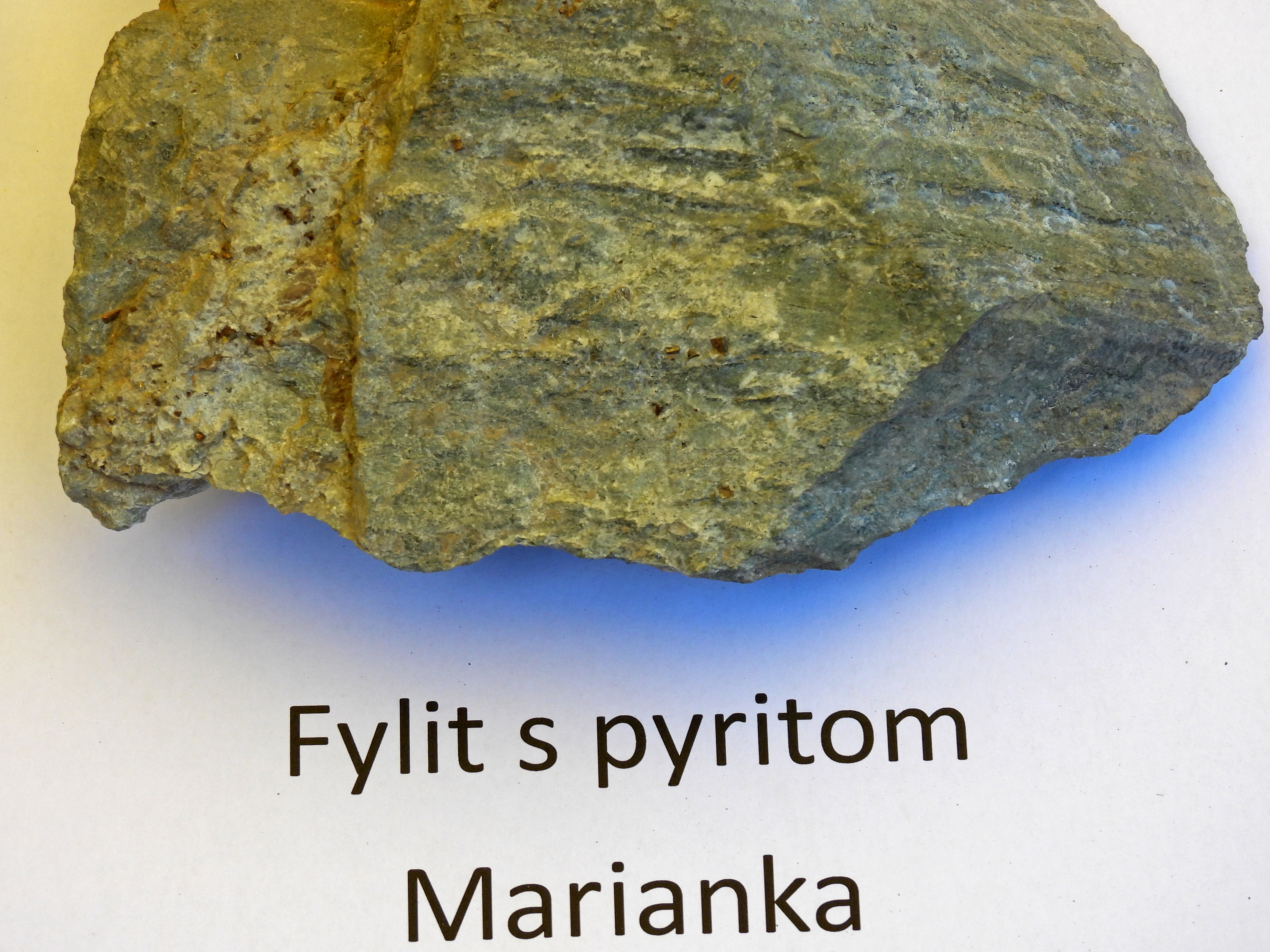 dscn5395 | WebJET CMS