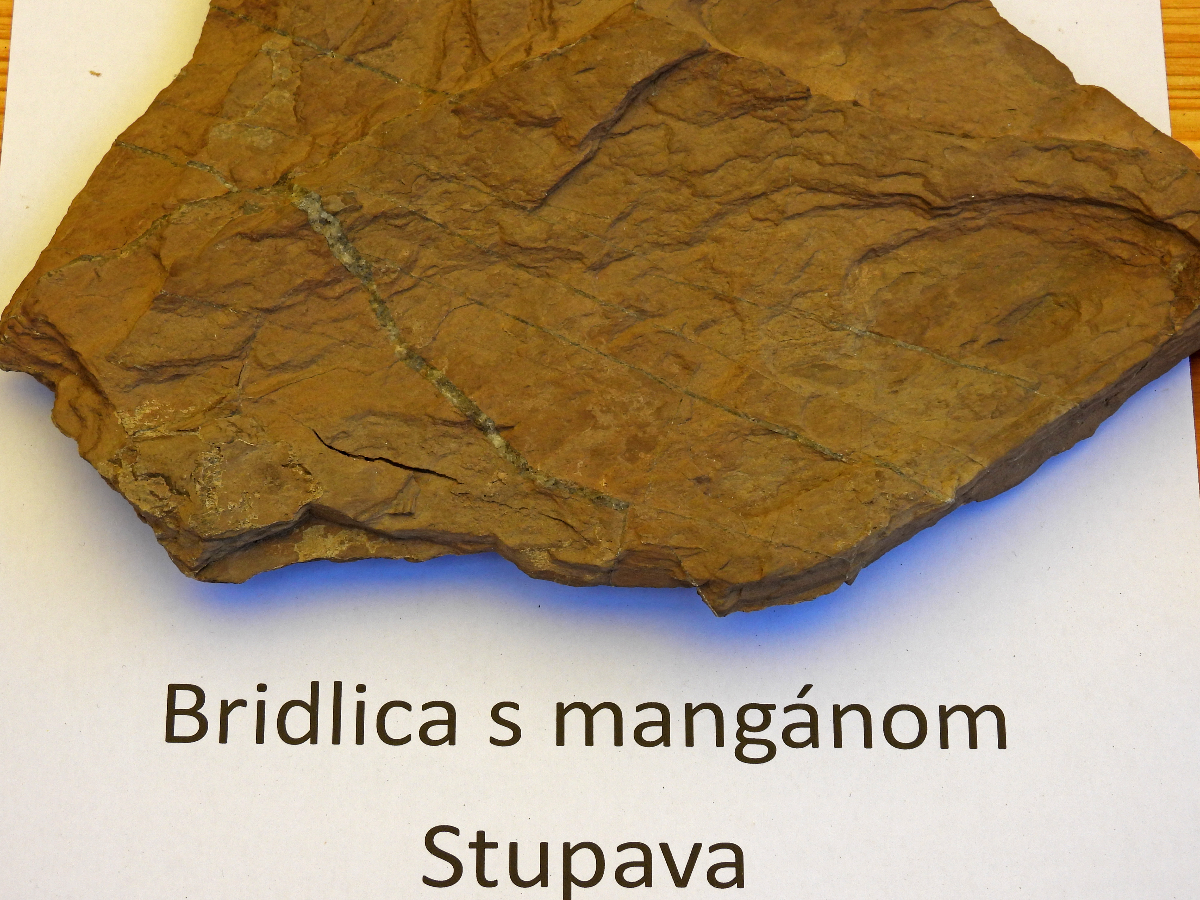 dscn5396 | WebJET CMS