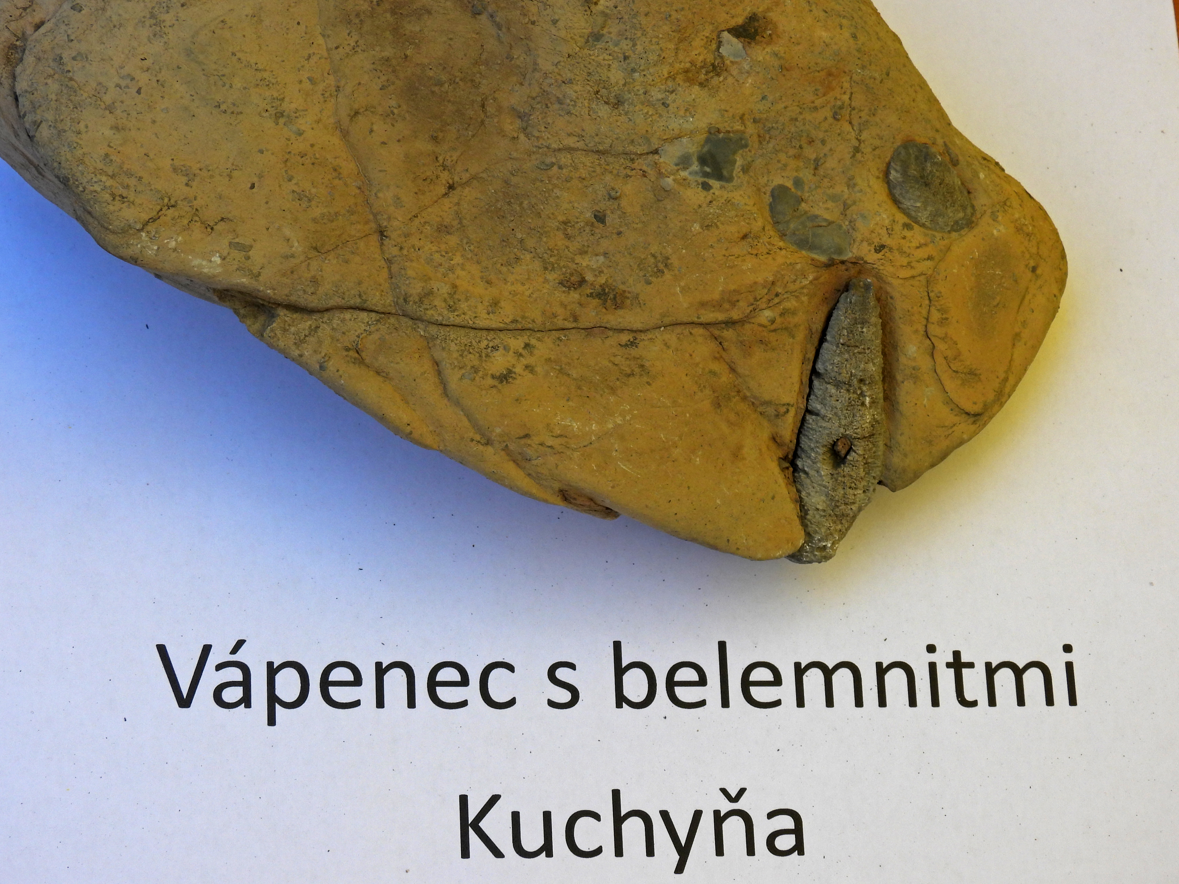 dscn5401 | WebJET CMS