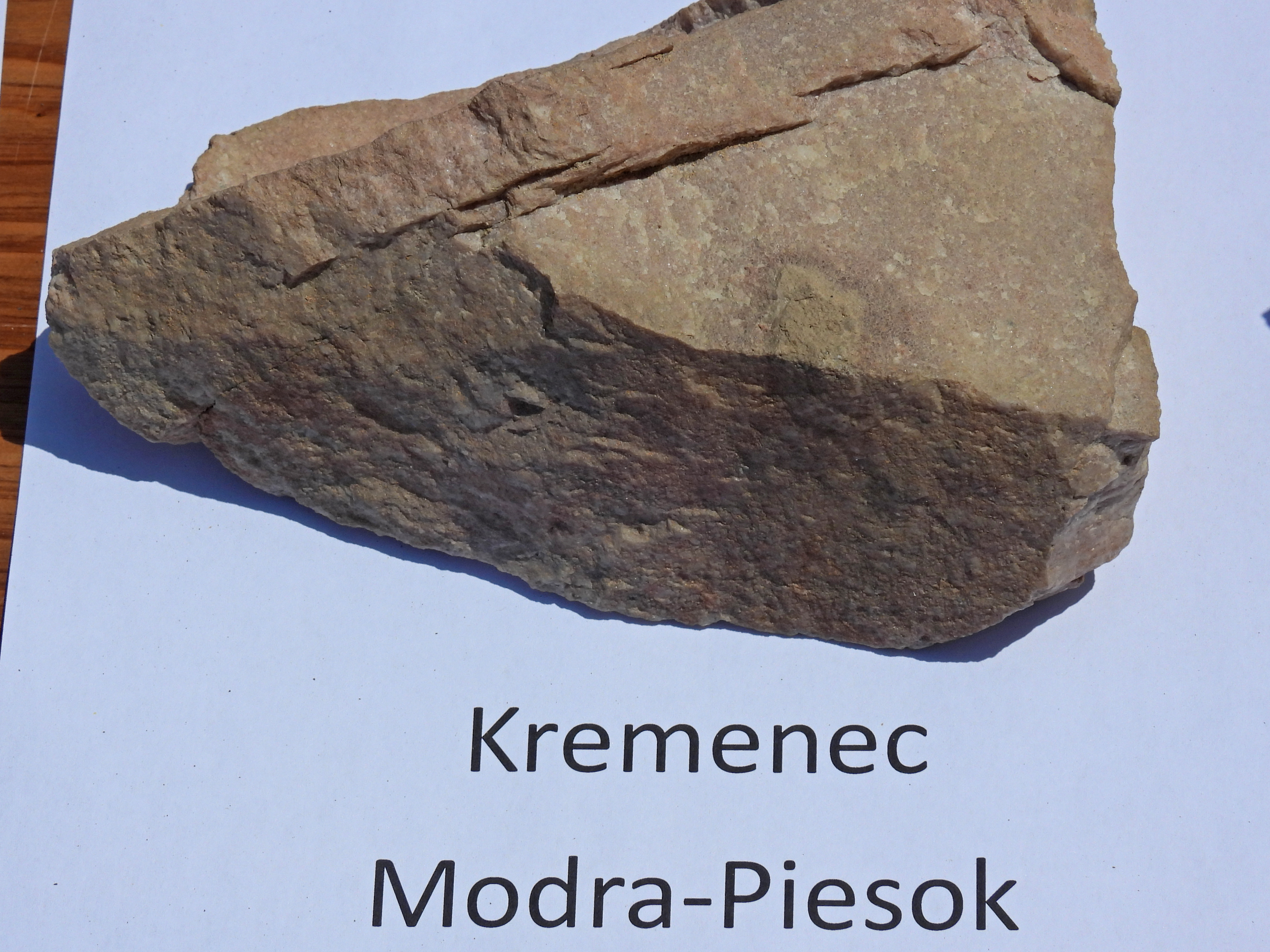 dscn5404 | WebJET CMS