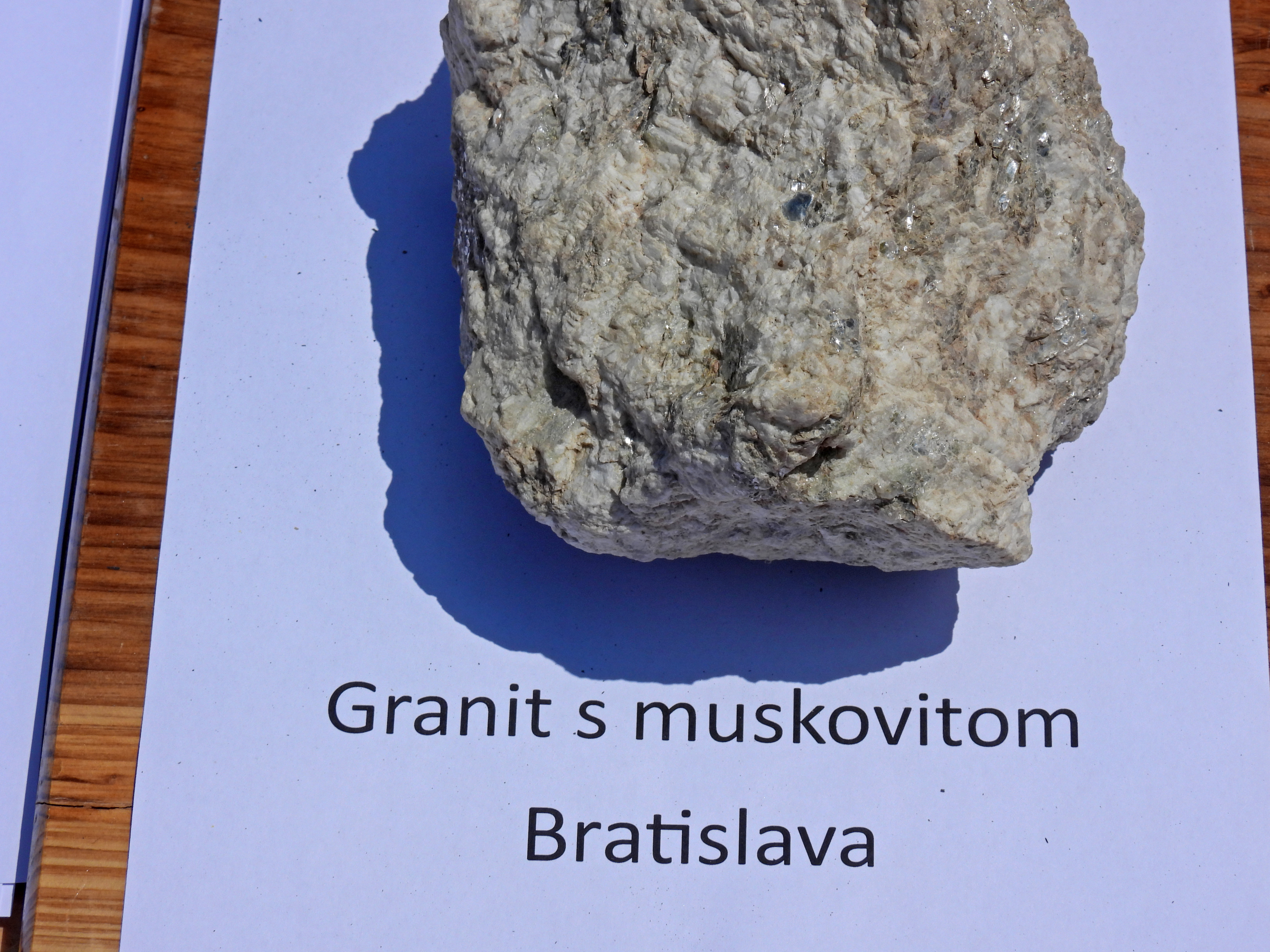 dscn5406 | WebJET CMS