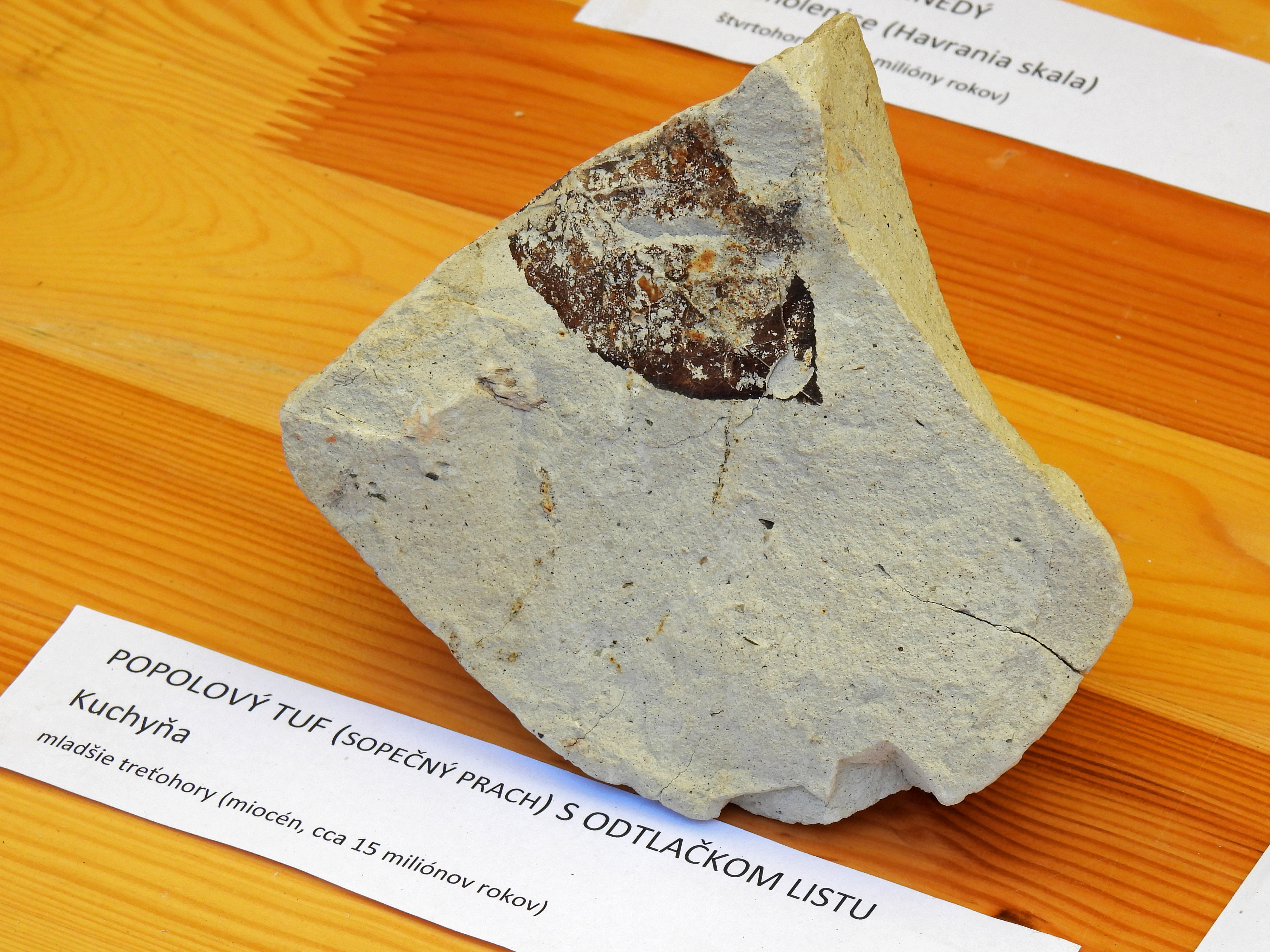 dscn5412 | WebJET CMS