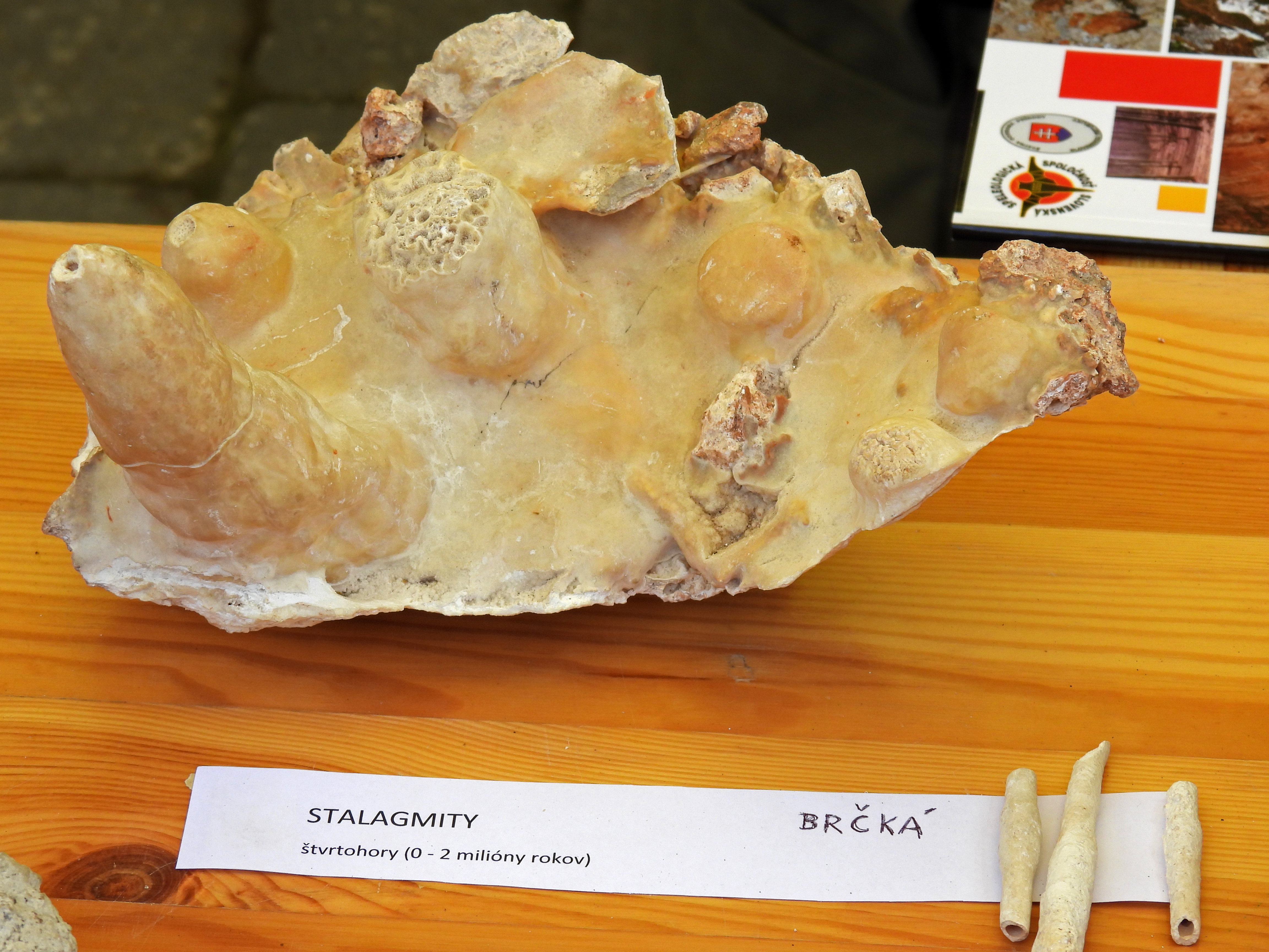 dscn5413 | WebJET CMS