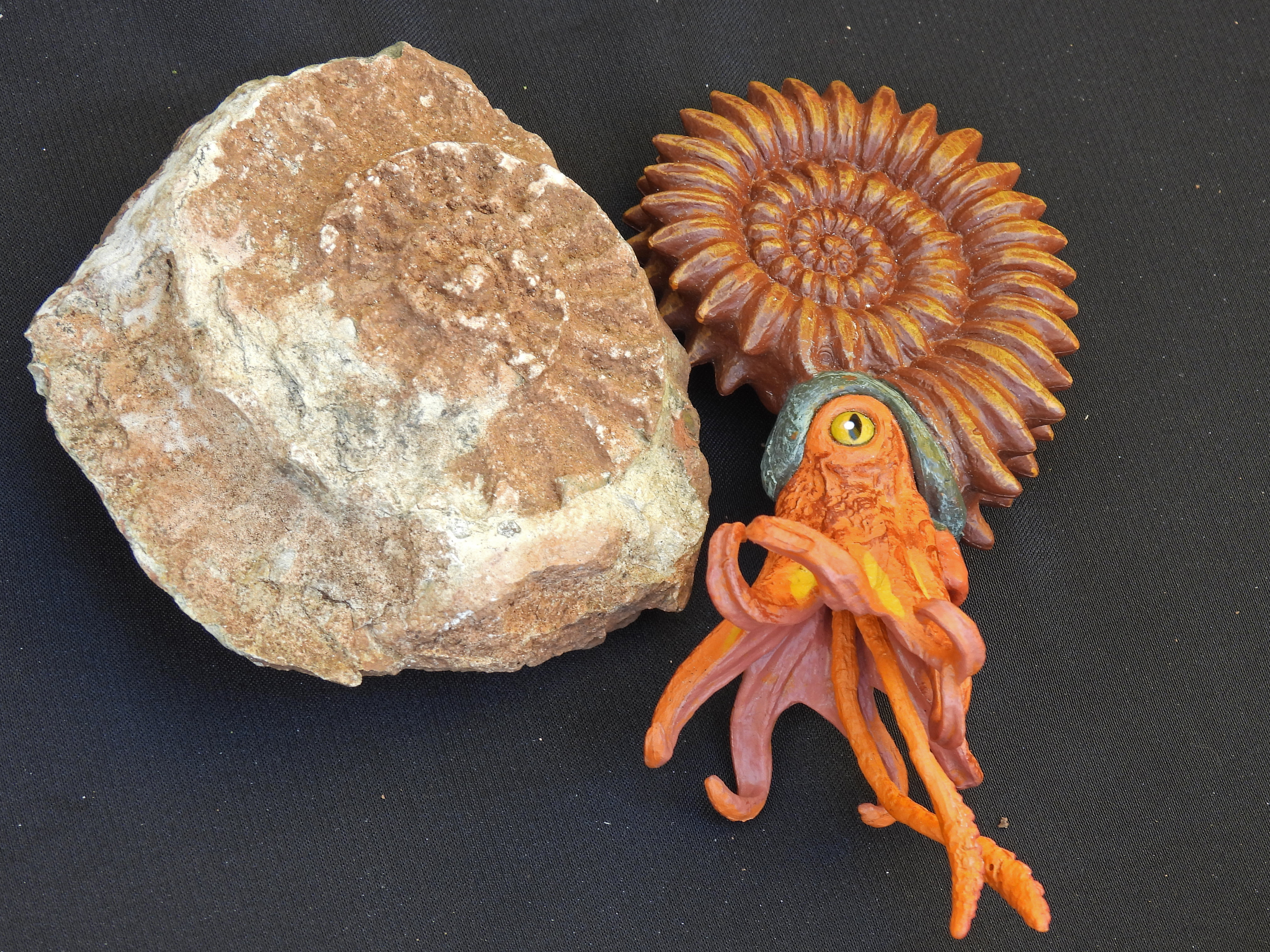 dscn5430 | WebJET CMS