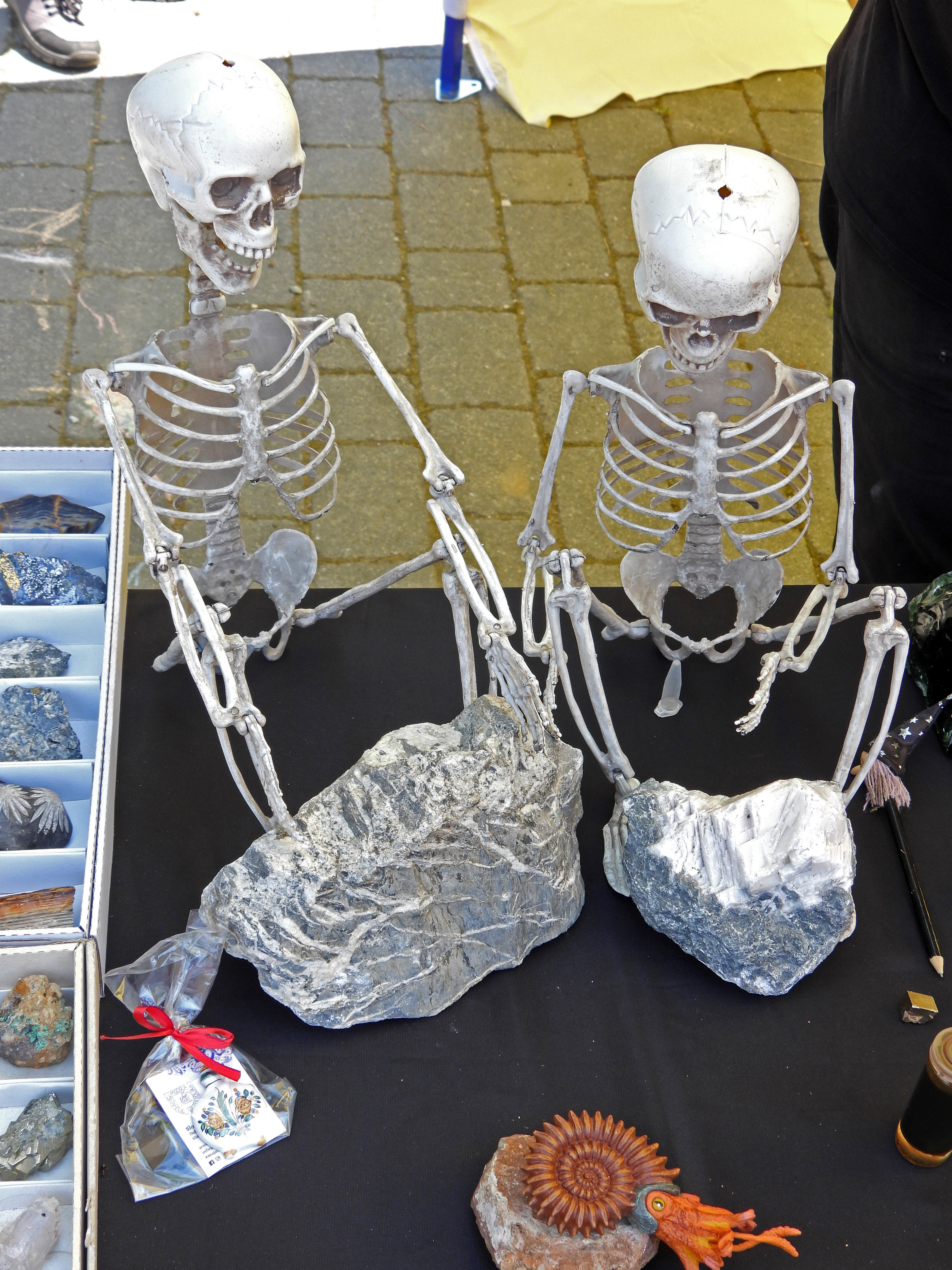 dscn5431 | WebJET CMS