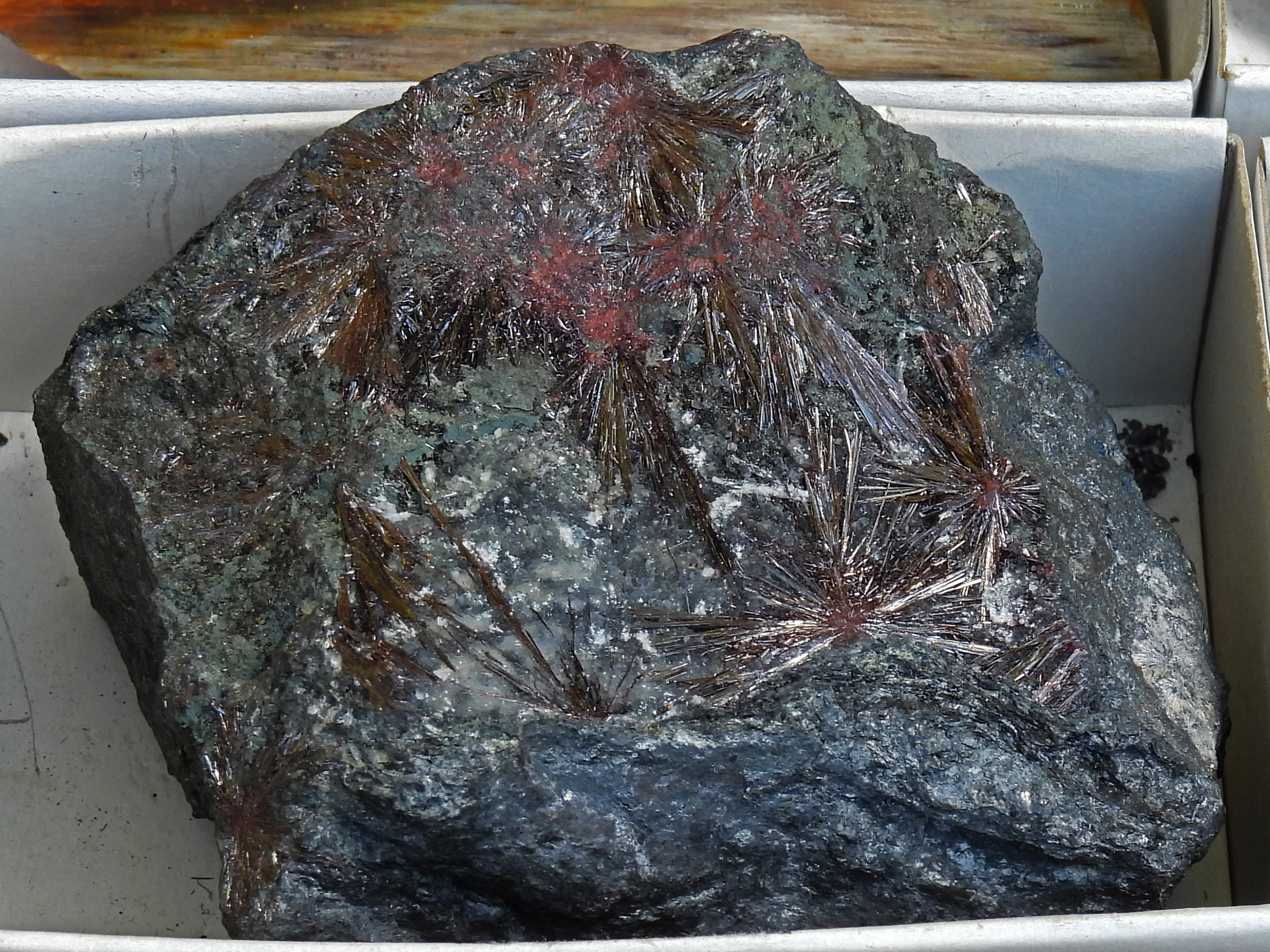 dscn5434 | WebJET CMS