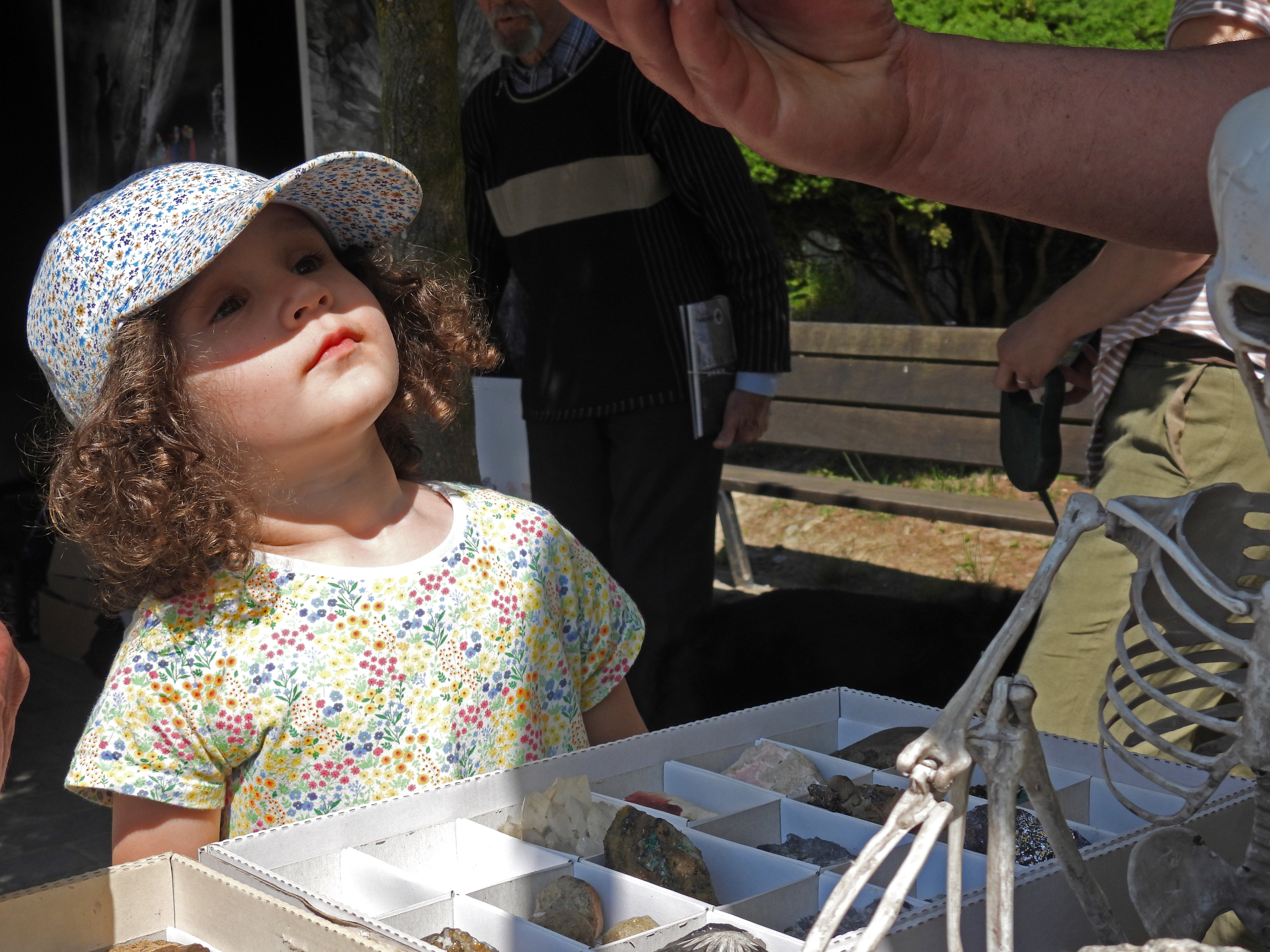 dscn5454 | WebJET CMS