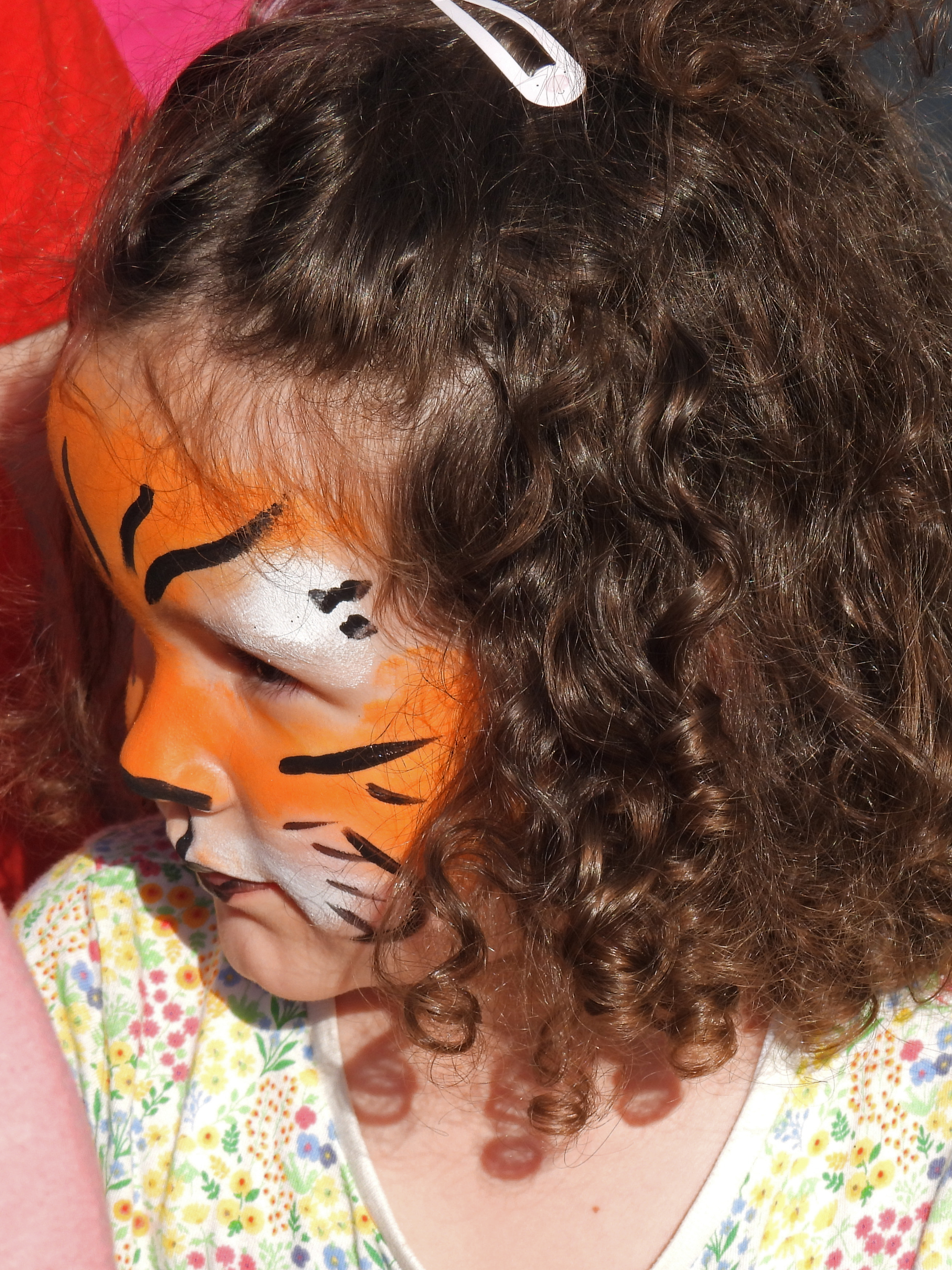 dscn5478 | WebJET CMS