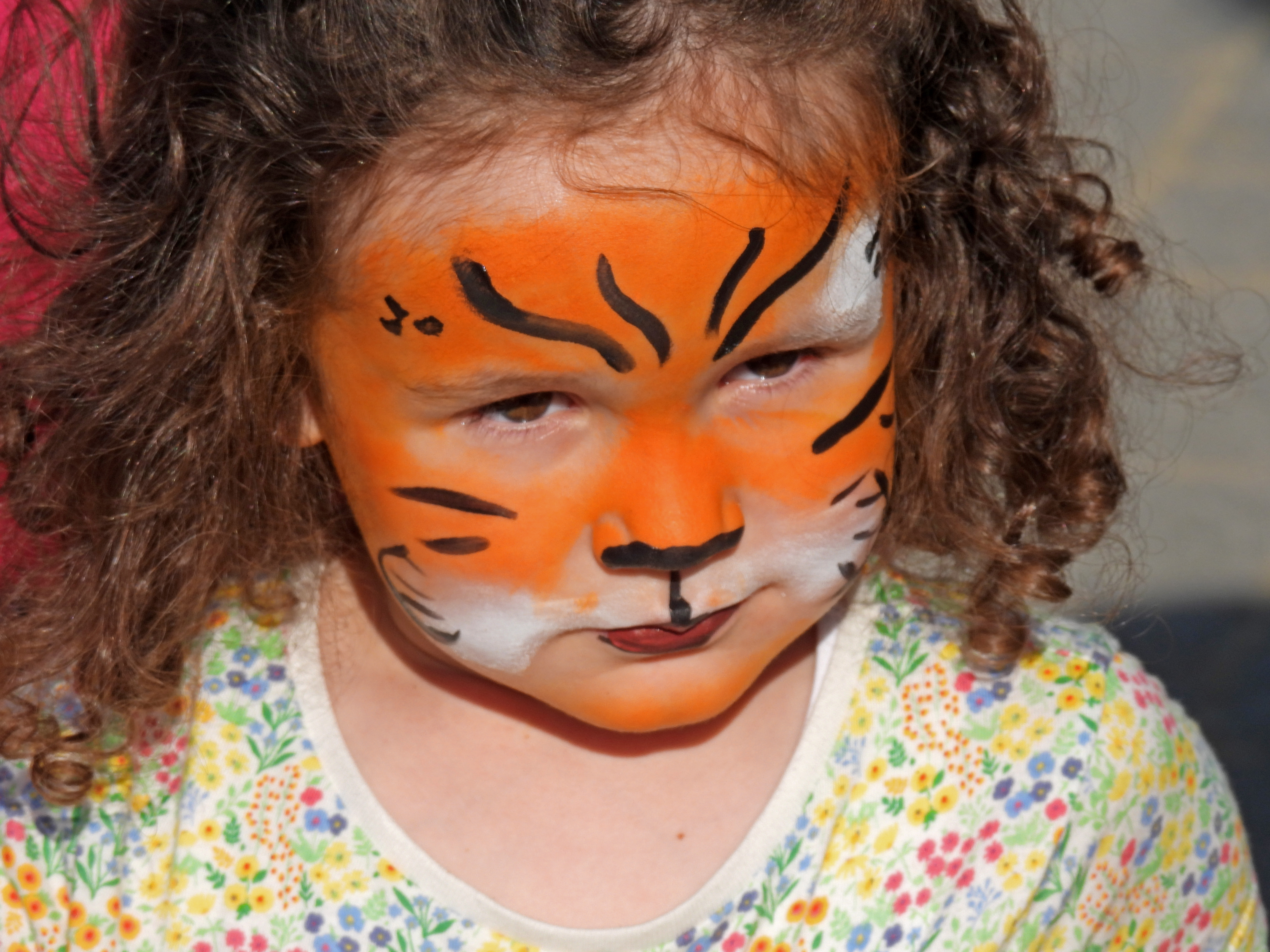 dscn5479 | WebJET CMS