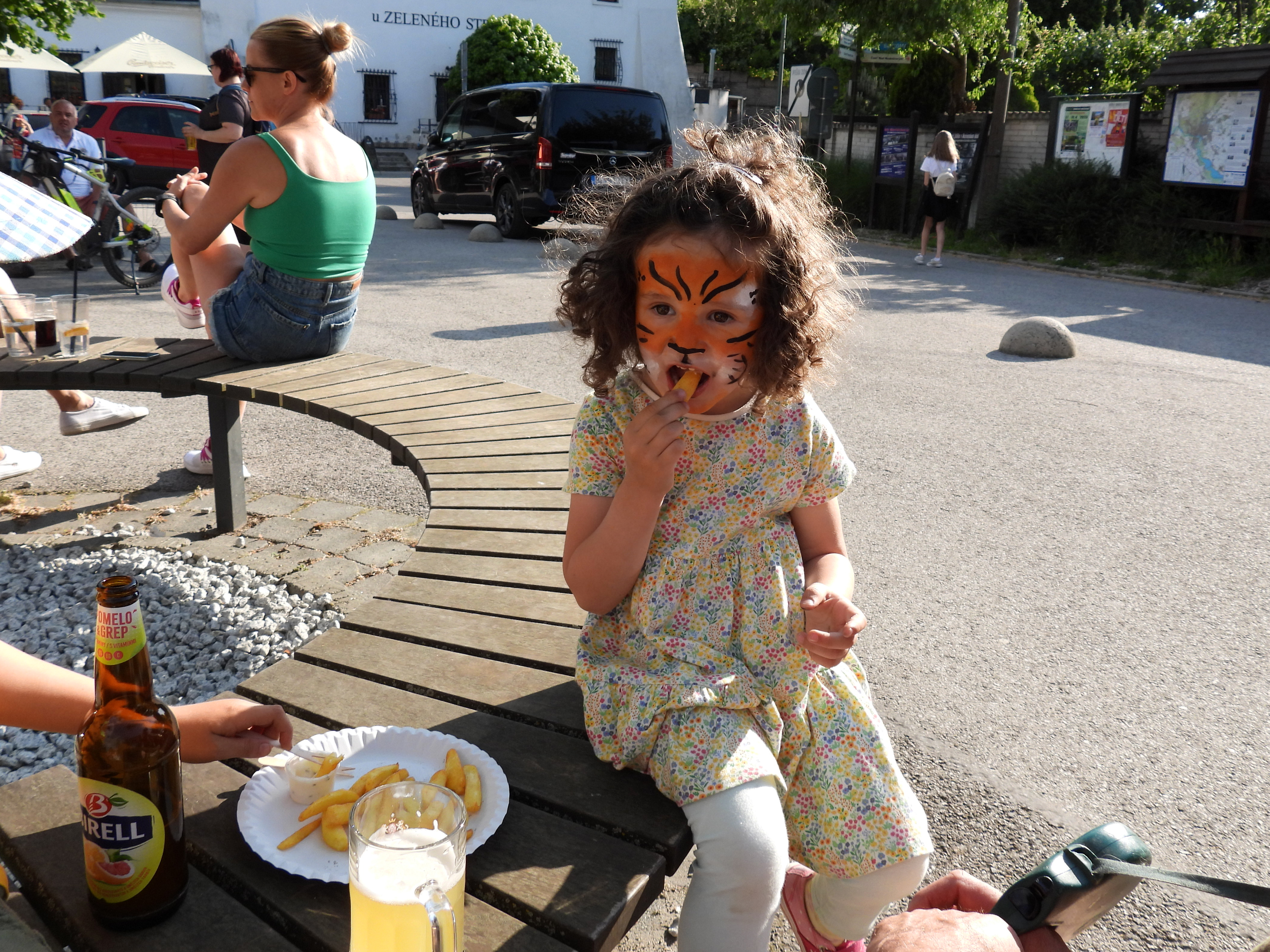 dscn5482 | WebJET CMS