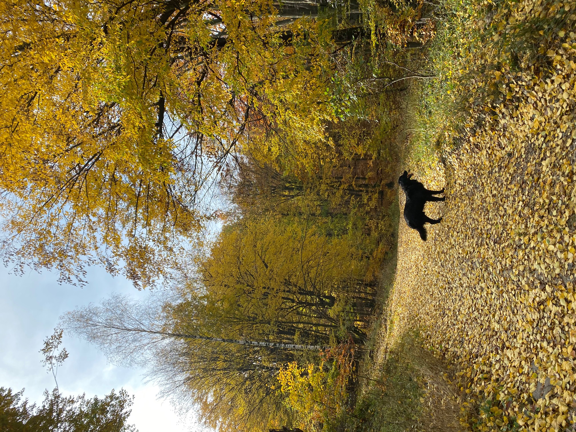 img 7483 | WebJET CMS