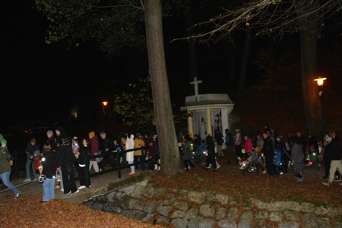 dsc7173a | WebJET CMS