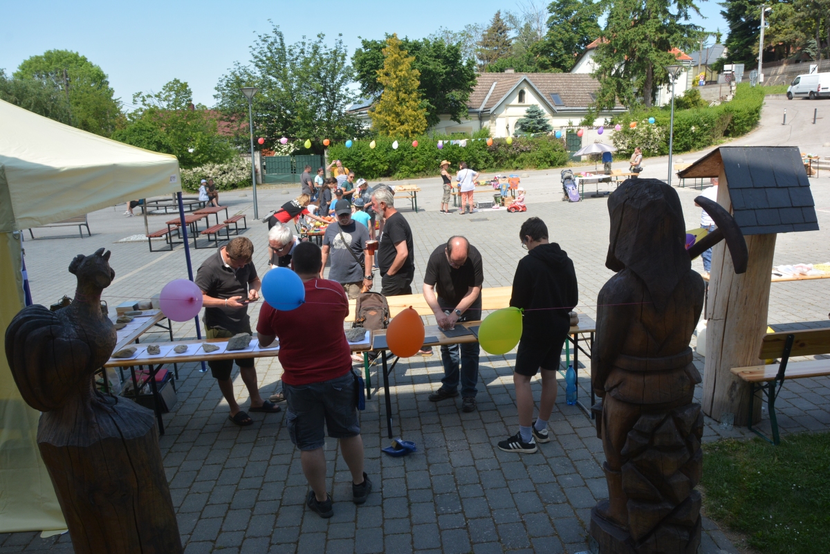 dsc 7738a | WebJET CMS