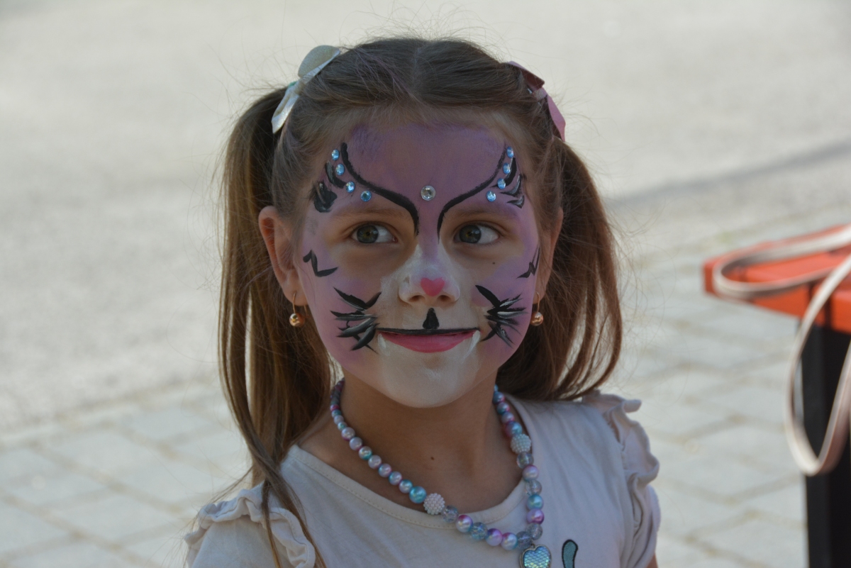 dsc 7847a | WebJET CMS