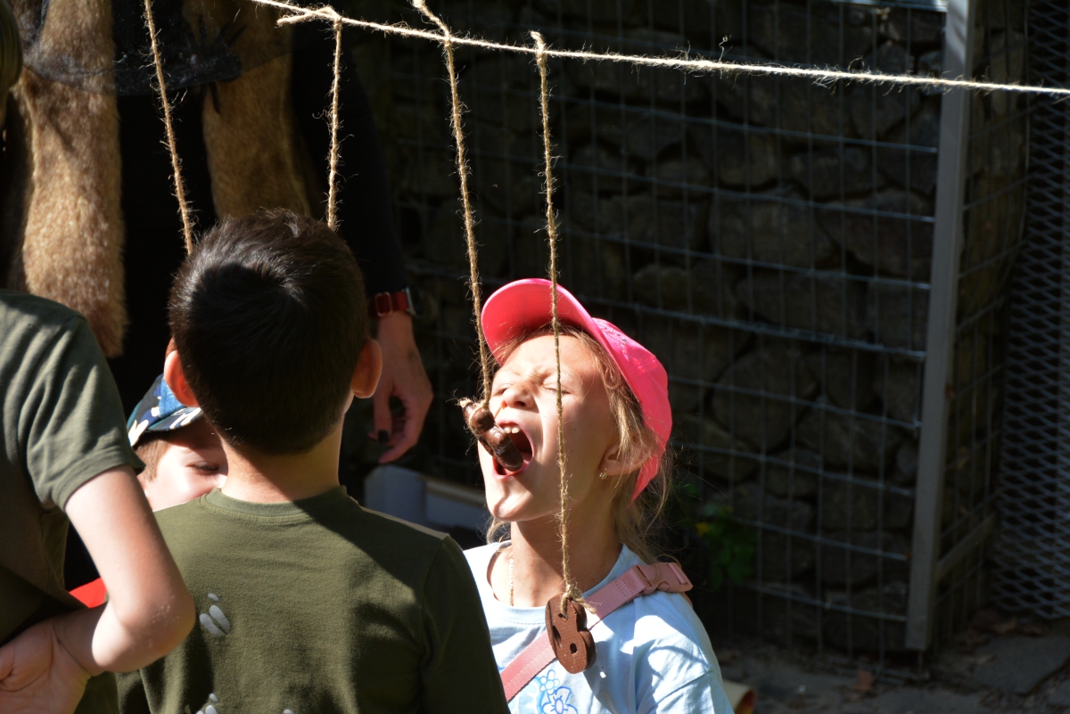 dsc 7887a | WebJET CMS