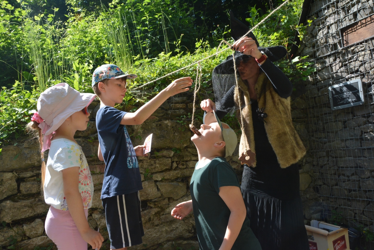 dsc 7894a | WebJET CMS