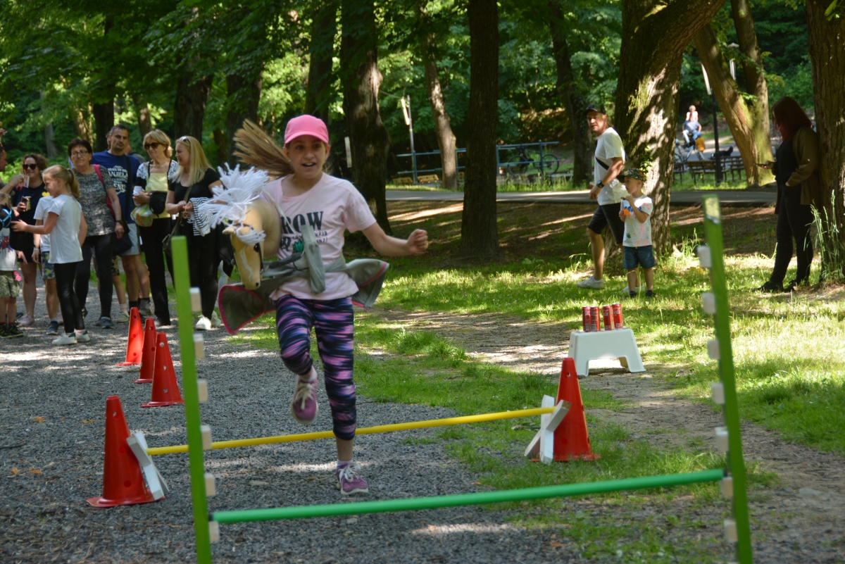 dsc 7921a | WebJET CMS