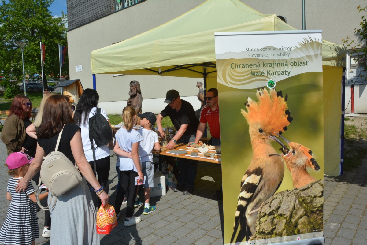 dsc 7960a | WebJET CMS