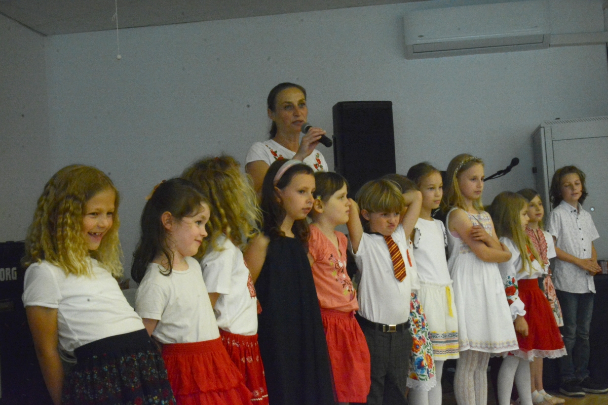 dsc 3025a | WebJET CMS