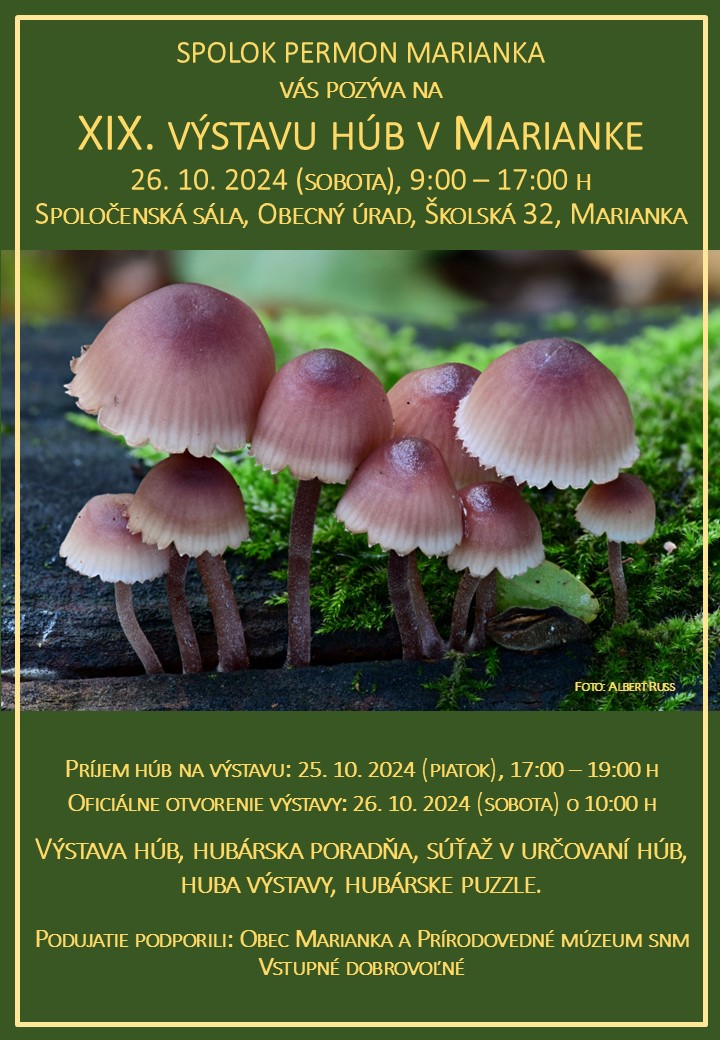 plagat vystava hub 2024 | WebJET CMS