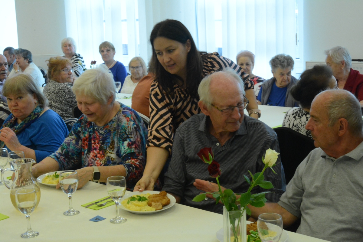 dsc 3111a | WebJET CMS