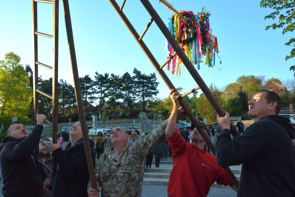 1 maj 14 | WebJET CMS