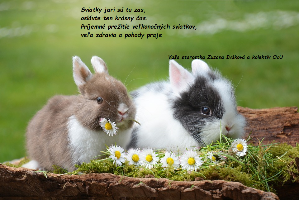 velka noc | WebJET CMS