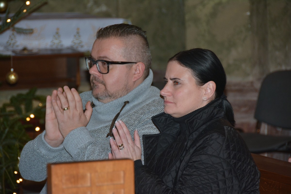 dsc 2190a | WebJET CMS