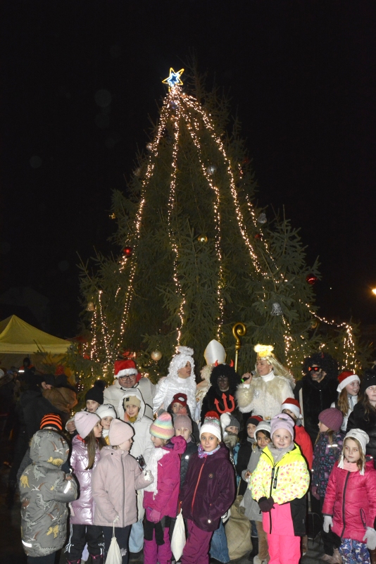 dsc7929a | WebJET CMS