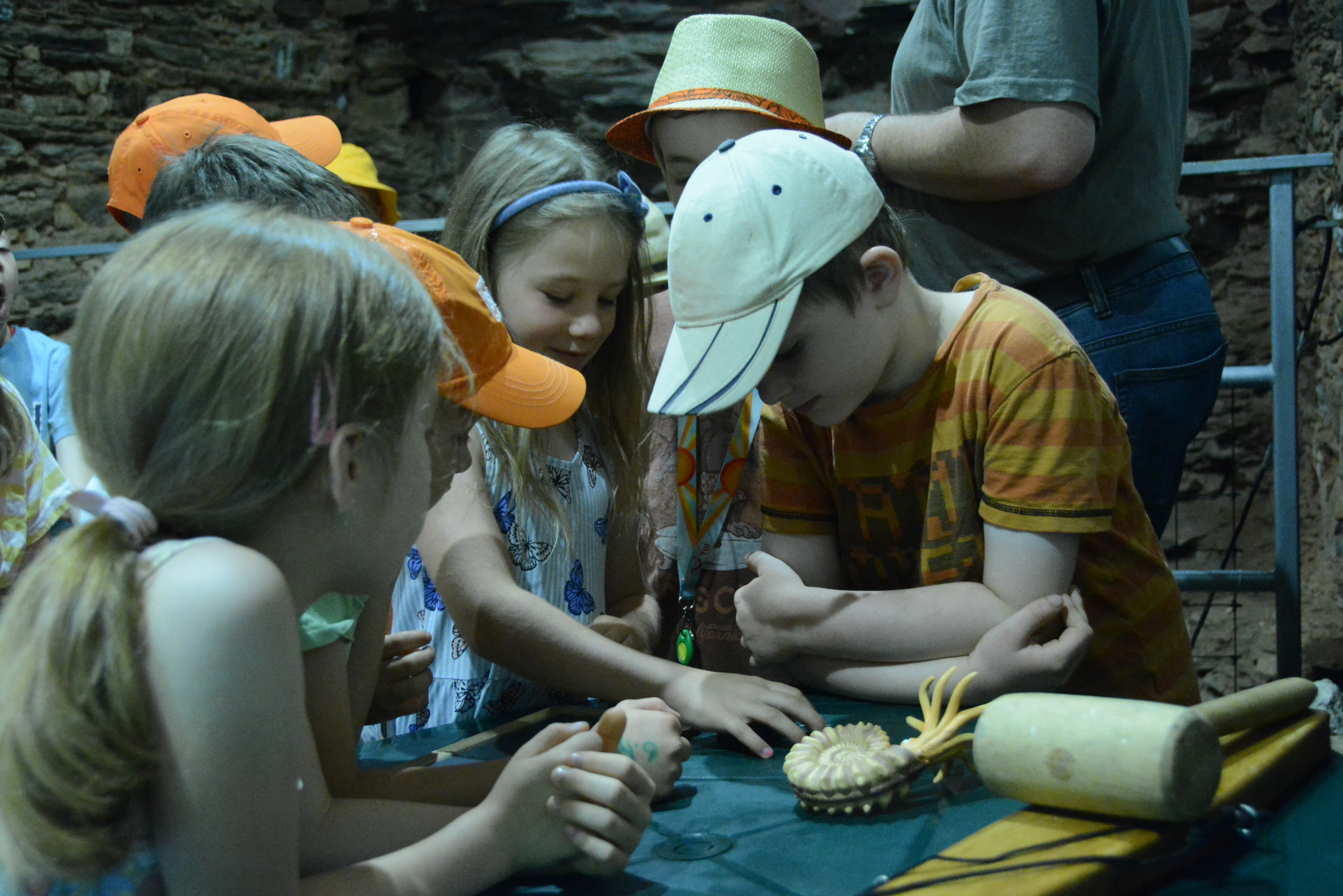 dsc 8142 | WebJET CMS