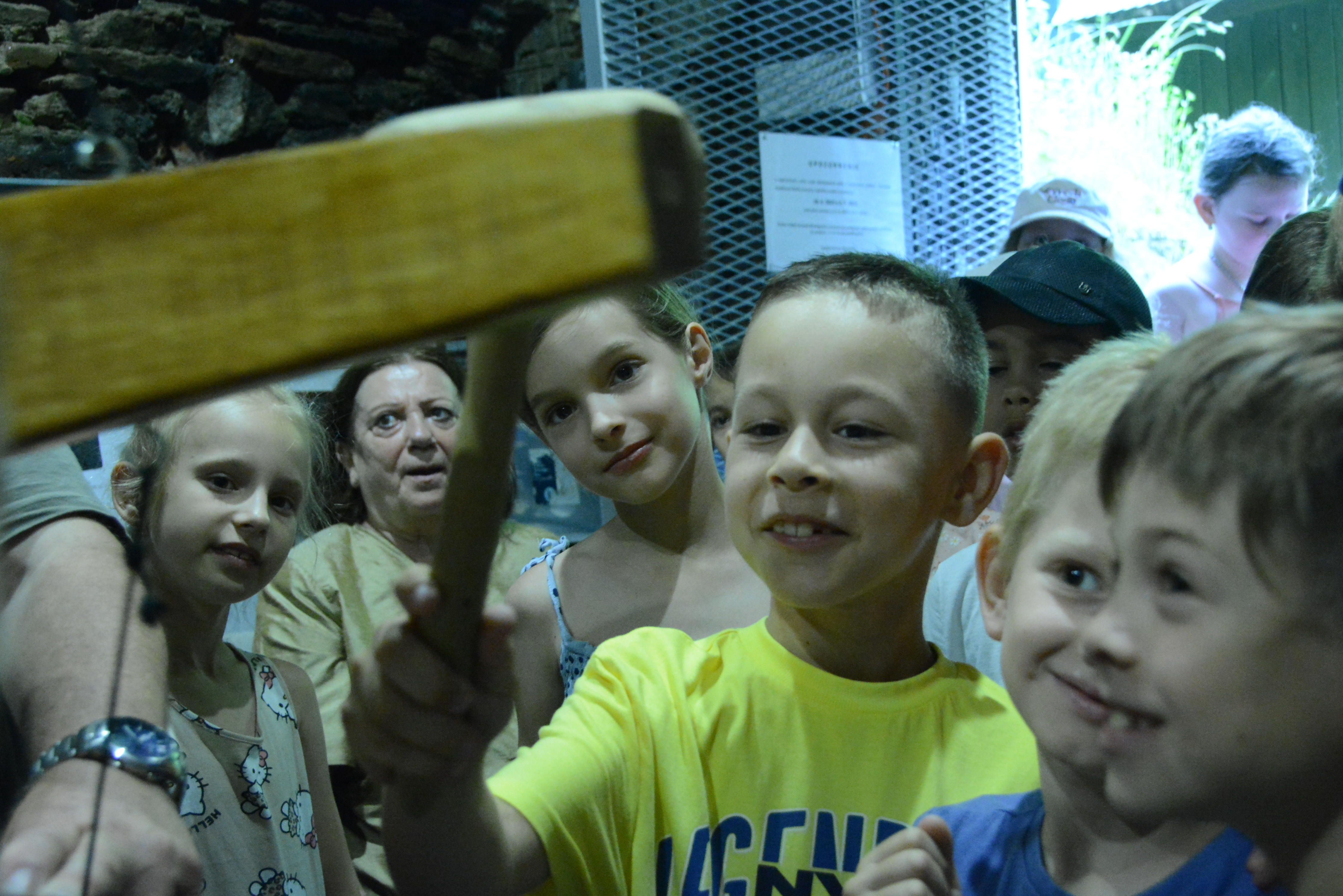 dsc 8219 | WebJET CMS